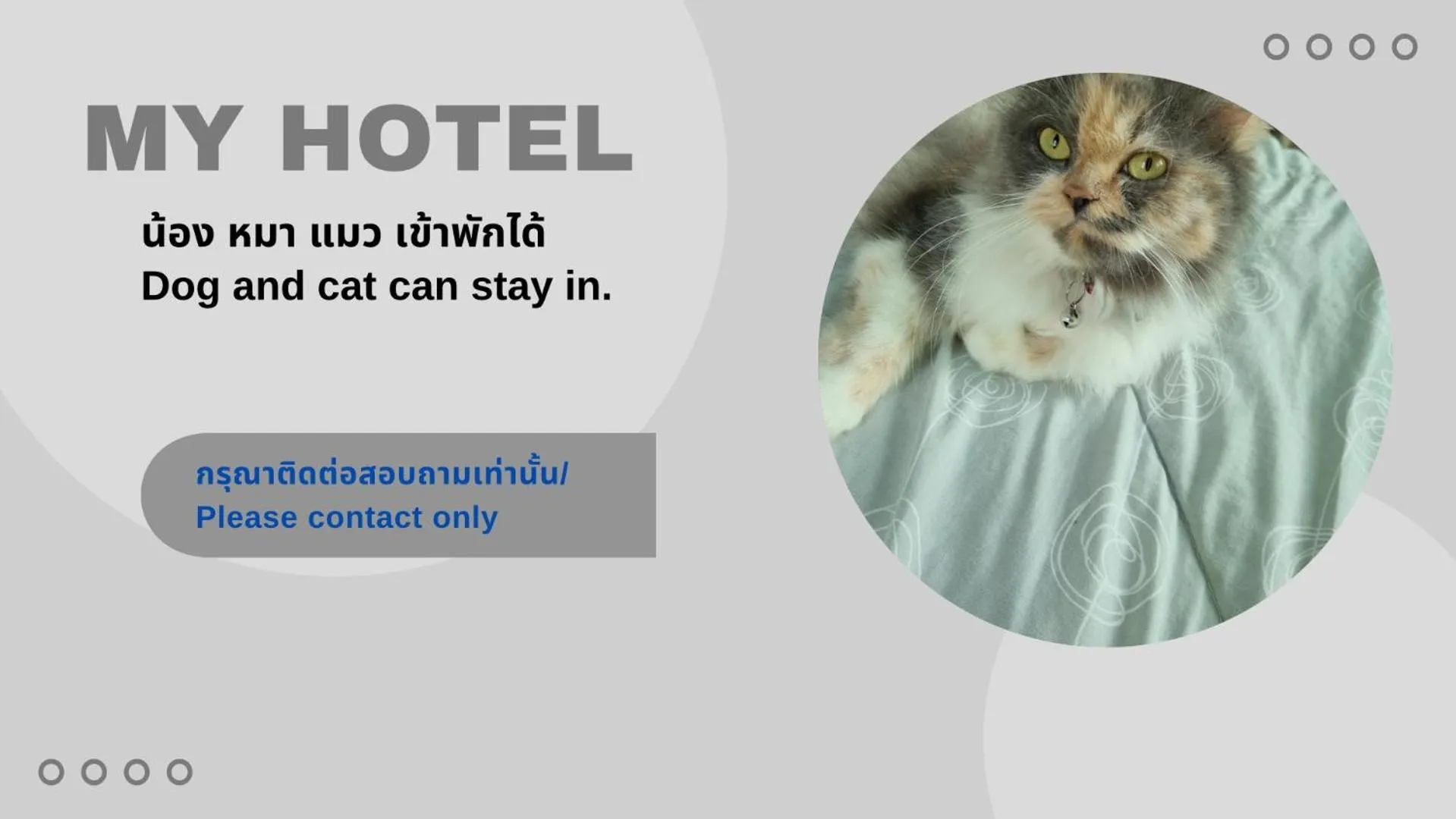 Pets in My Hotel Bangkok Noi