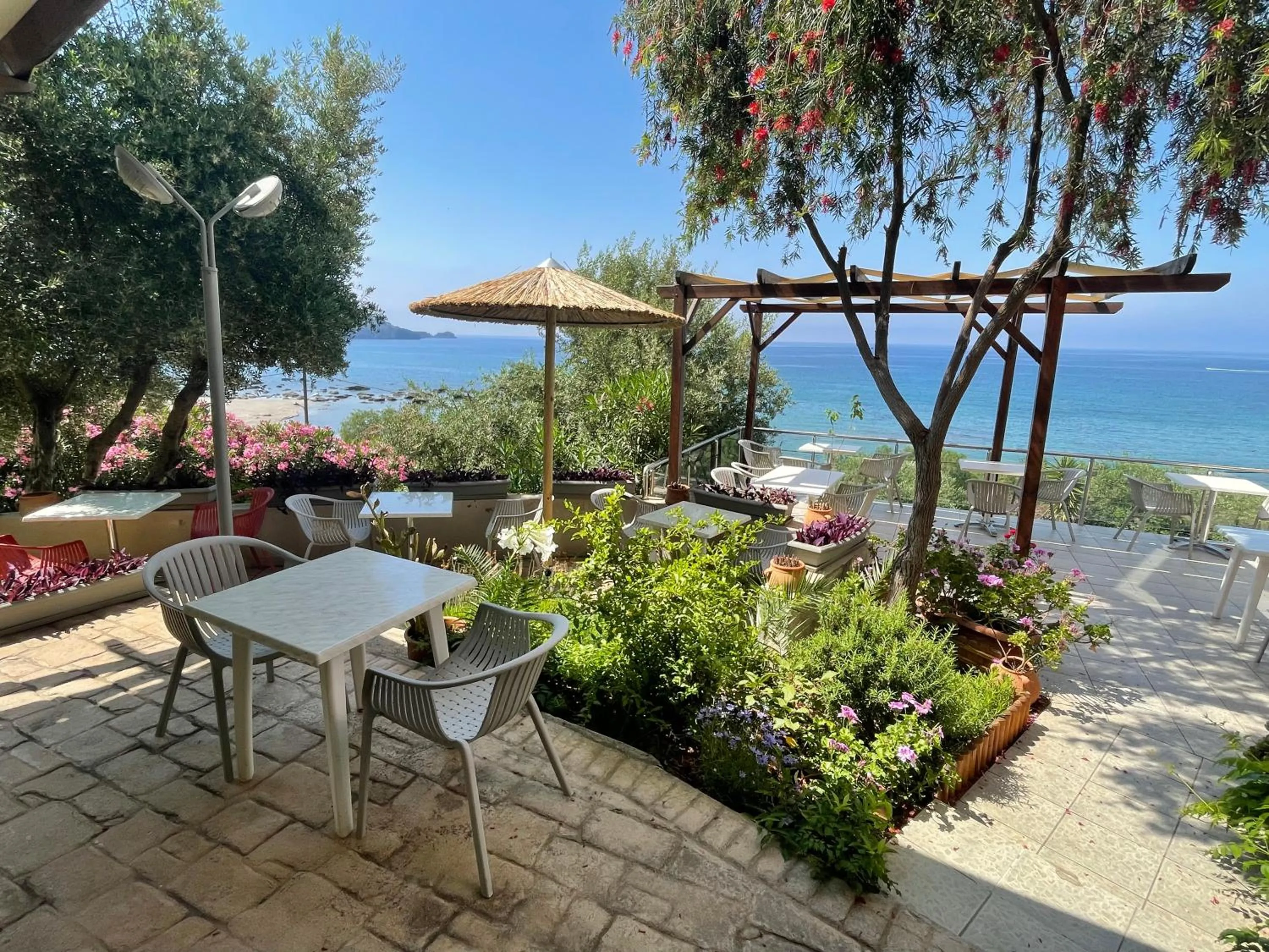 Garden in Horizon Beach Hotel