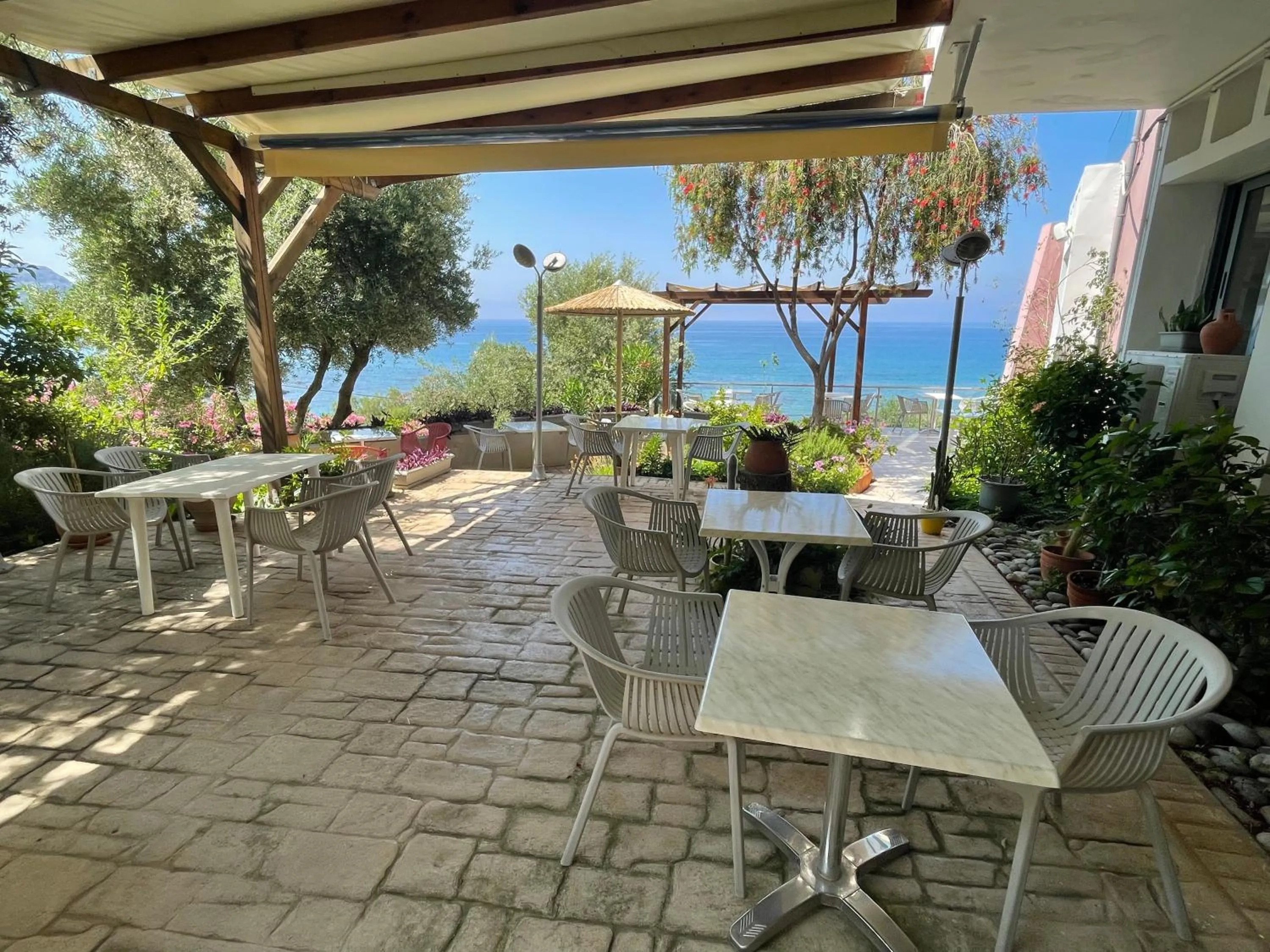 Garden in Horizon Beach Hotel