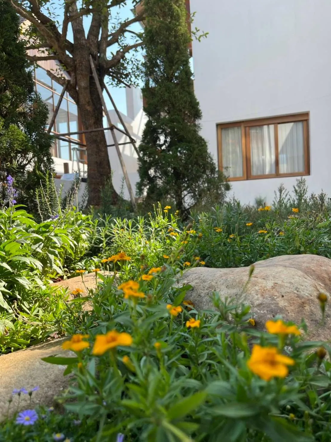 108 Villa @ PongYang