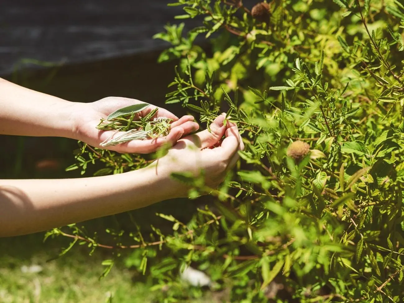 Natural landscape in Etajimasou Hotel & SPA Hiroshima