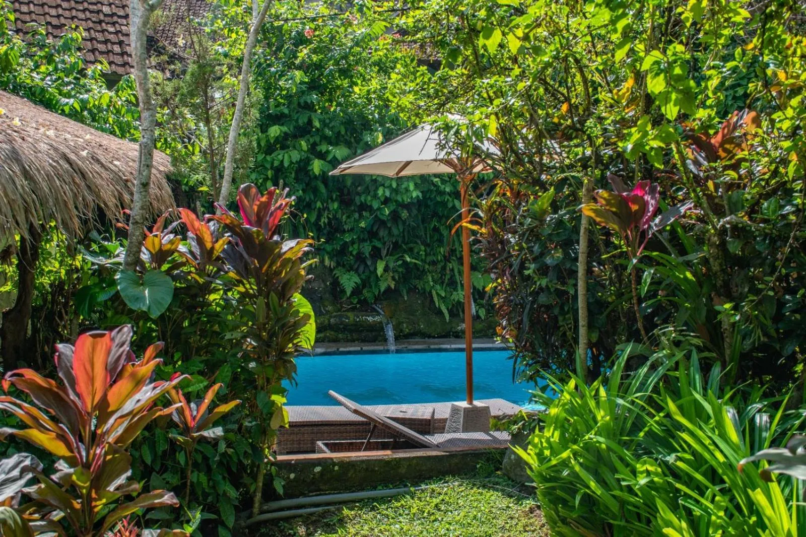 Swimming pool in Down The Rabbit Hole