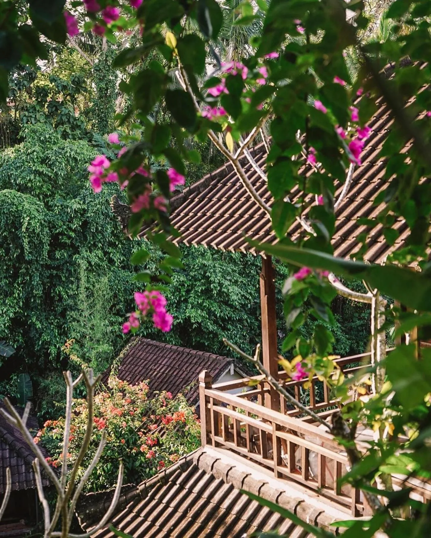 View (from property/room) in Down The Rabbit Hole