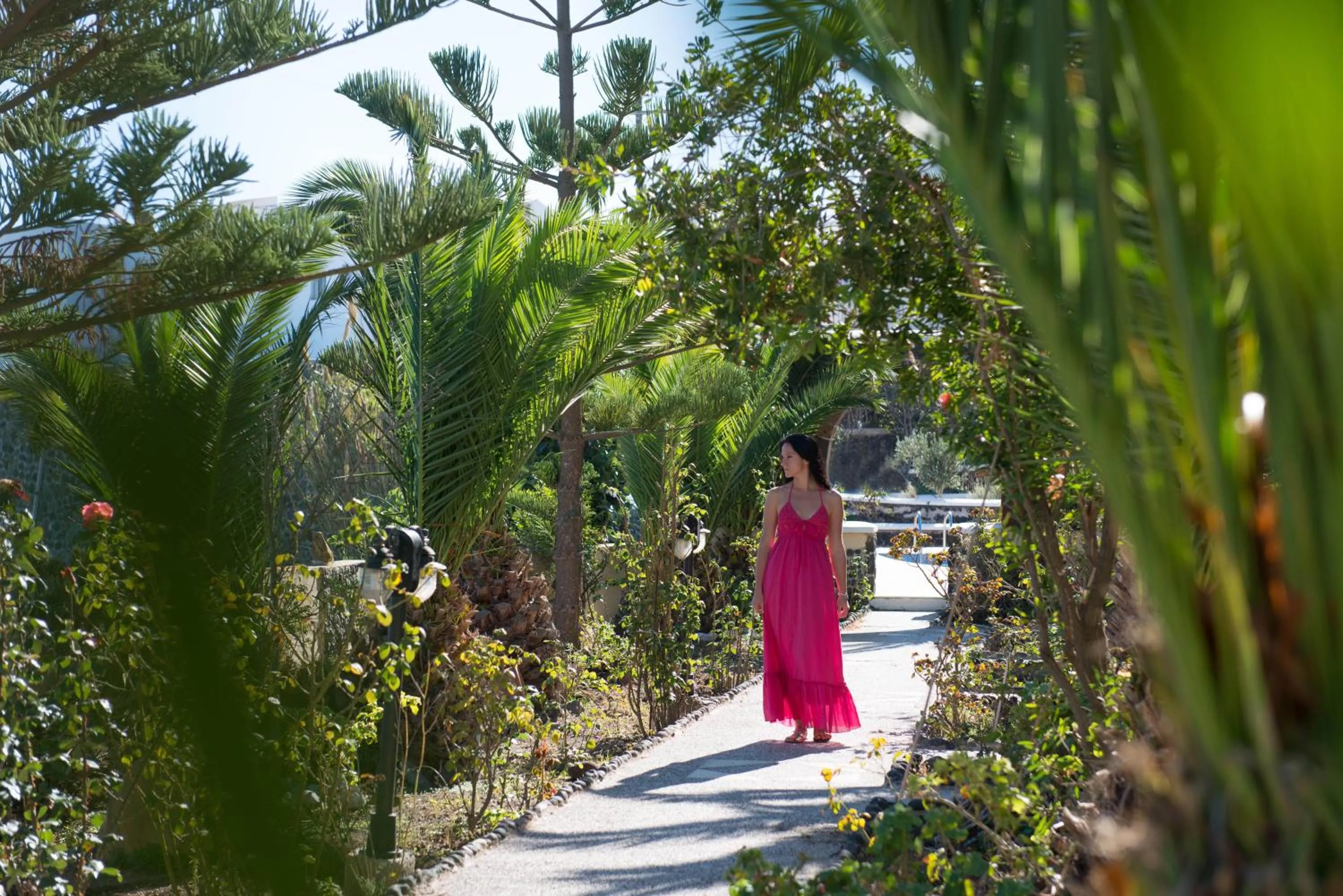 Garden in Aelia by Eltheon