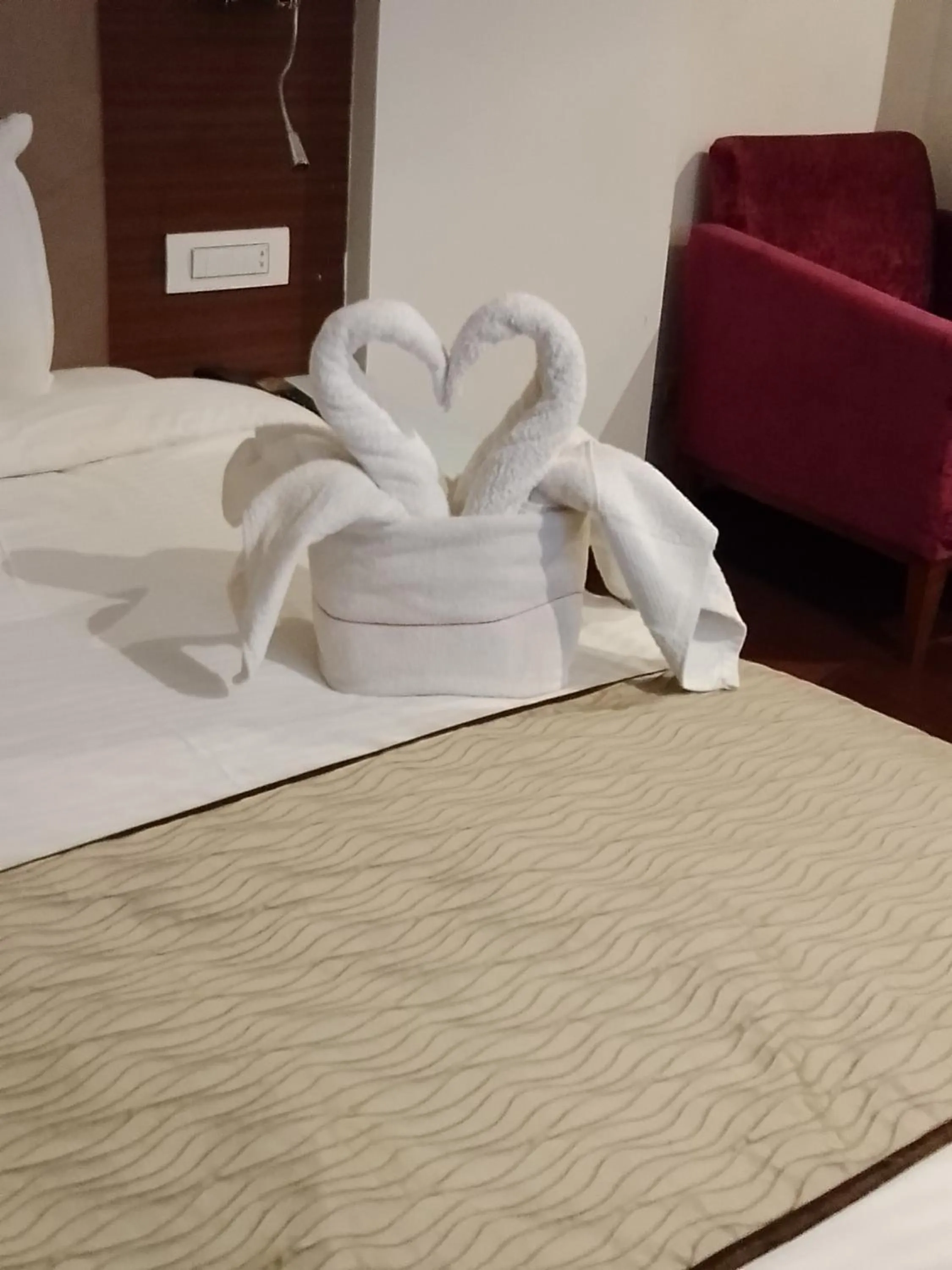 Hotel 5 Flowers Ananta Elite