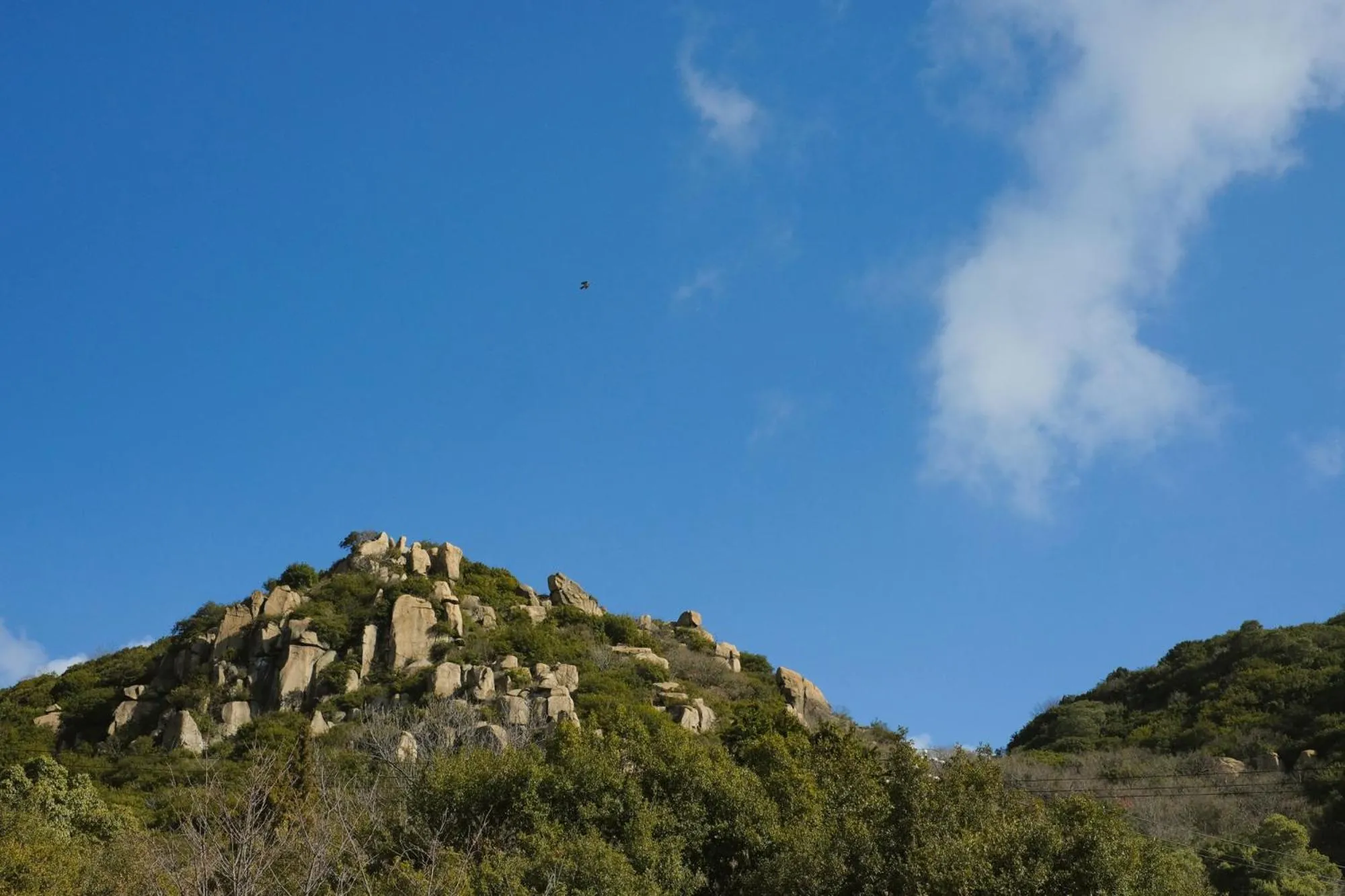 Nearby landmark in DENIM HOSTEL float