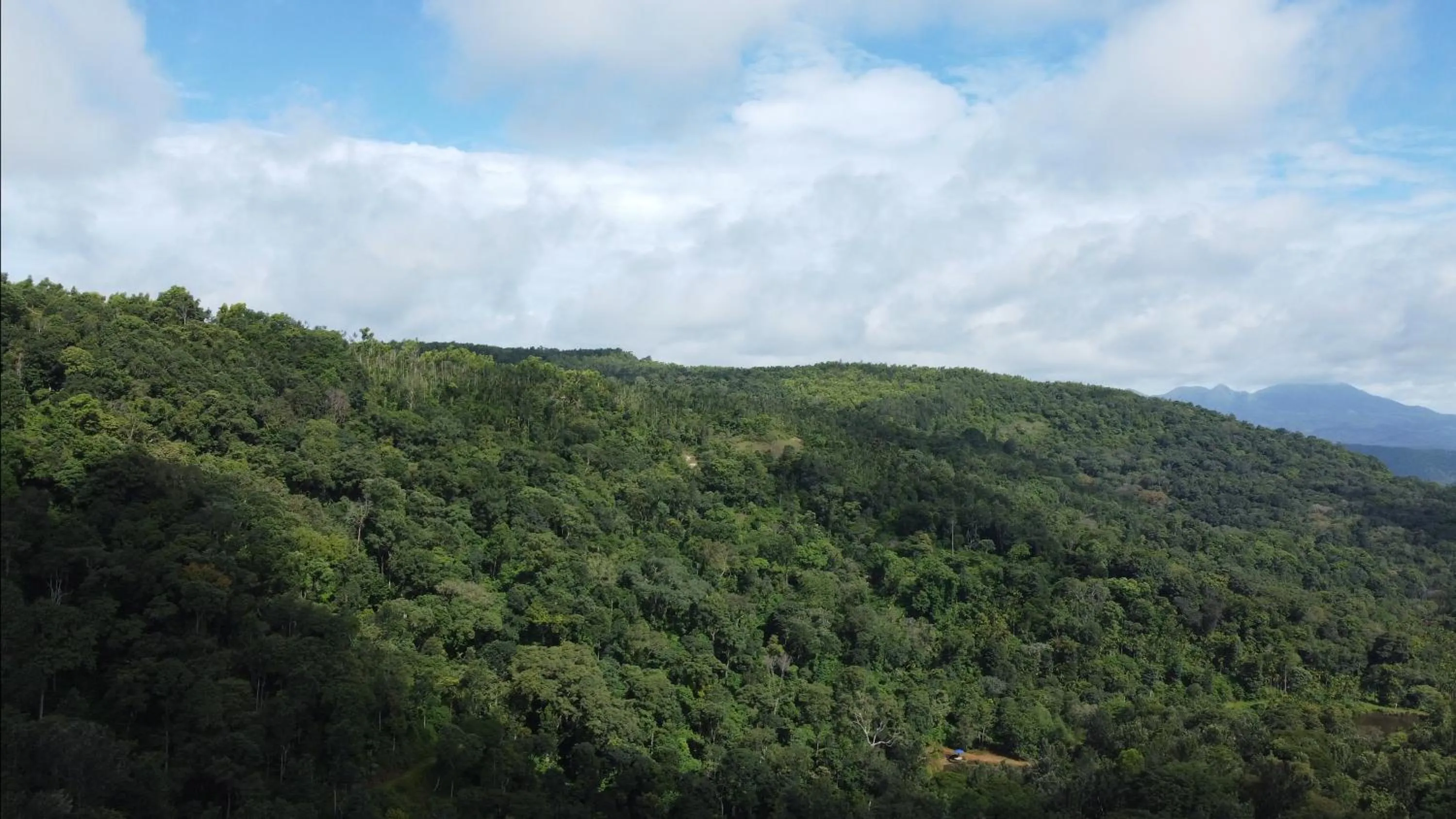 Mountain view in Villa Urvinkhan Resorts Chikmagalur