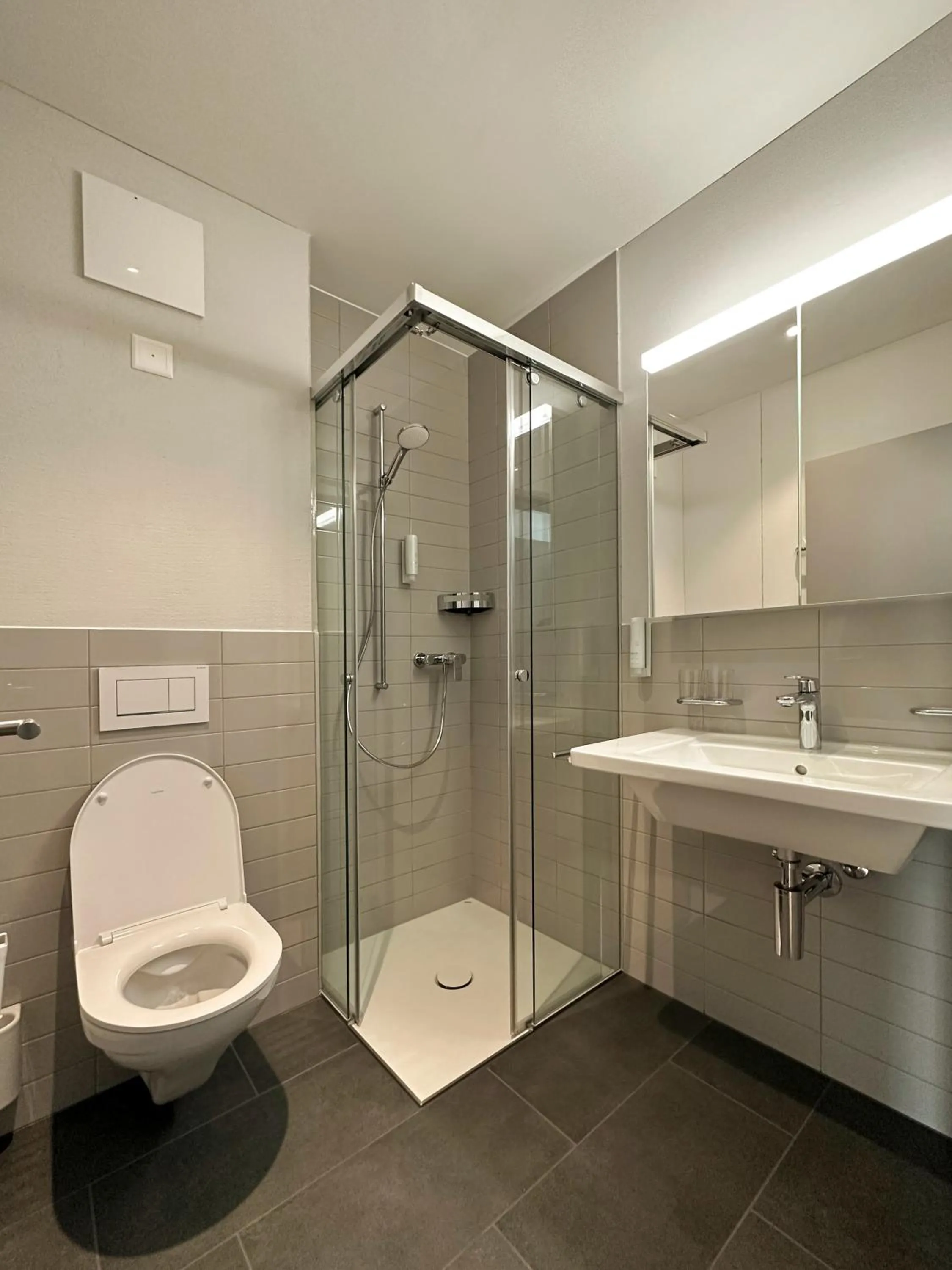 Toilet in Aparthotel Beinwil am See