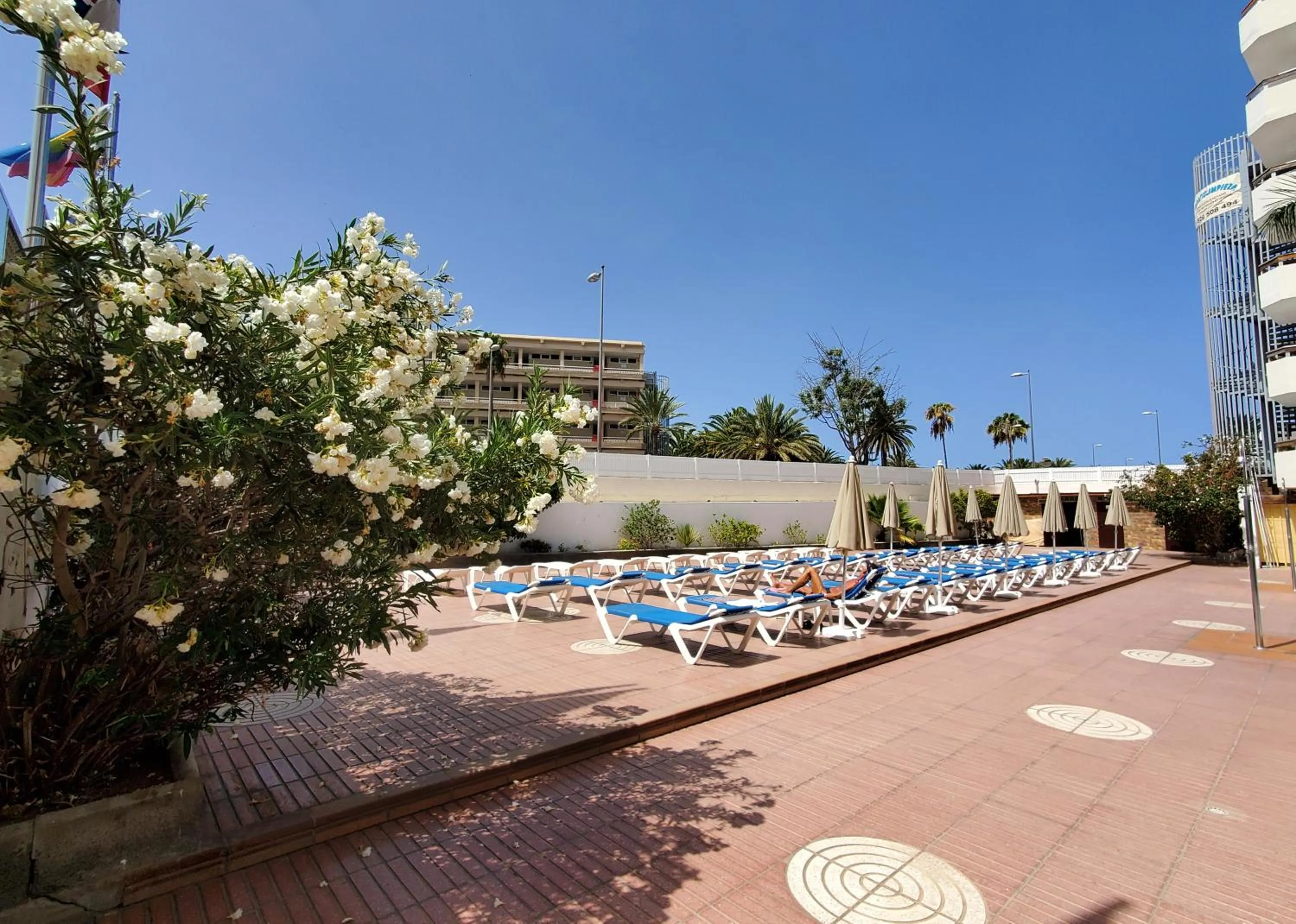 sunbed in Las Camelias Apartments