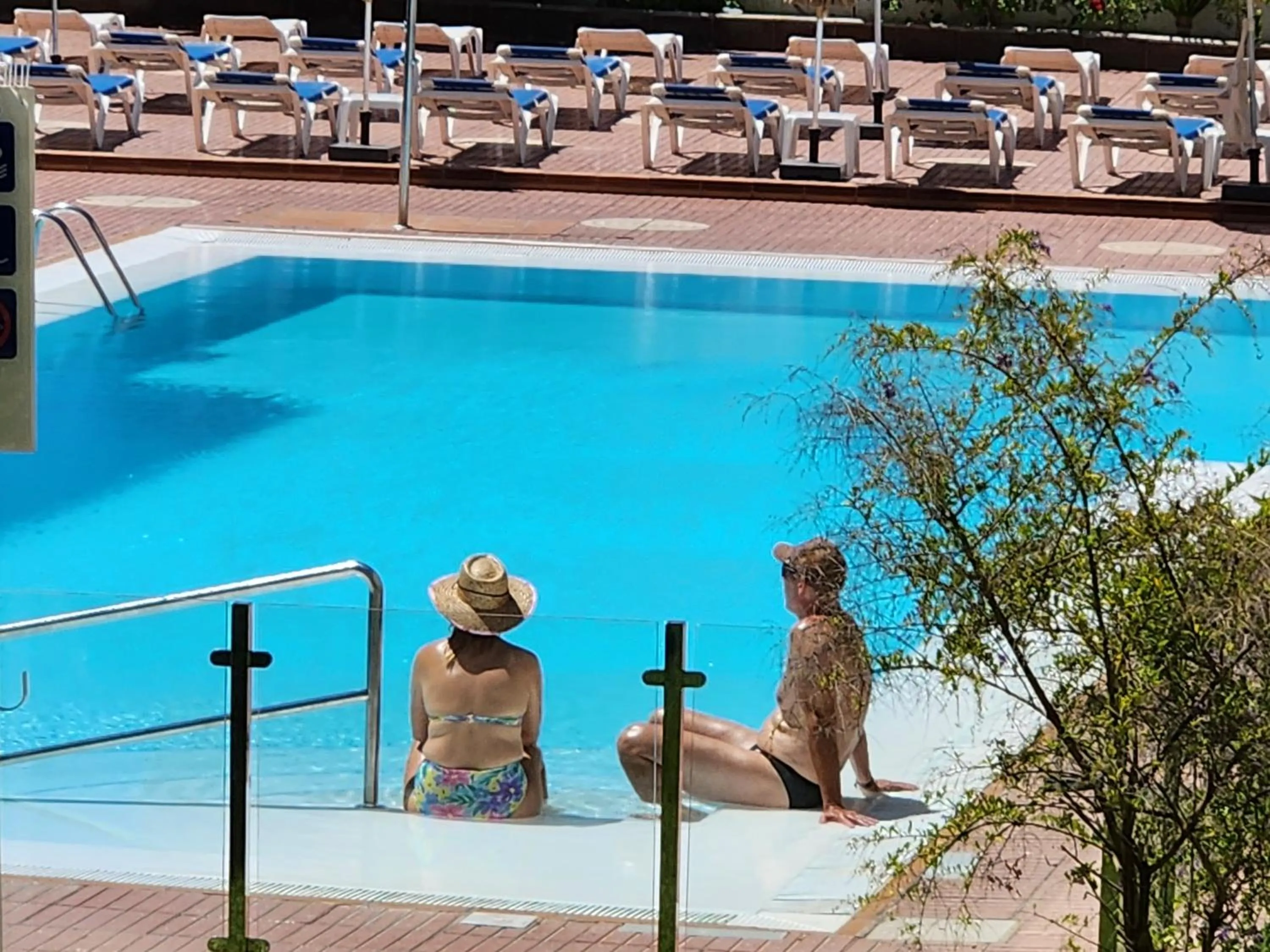 Swimming pool in Las Camelias Apartments