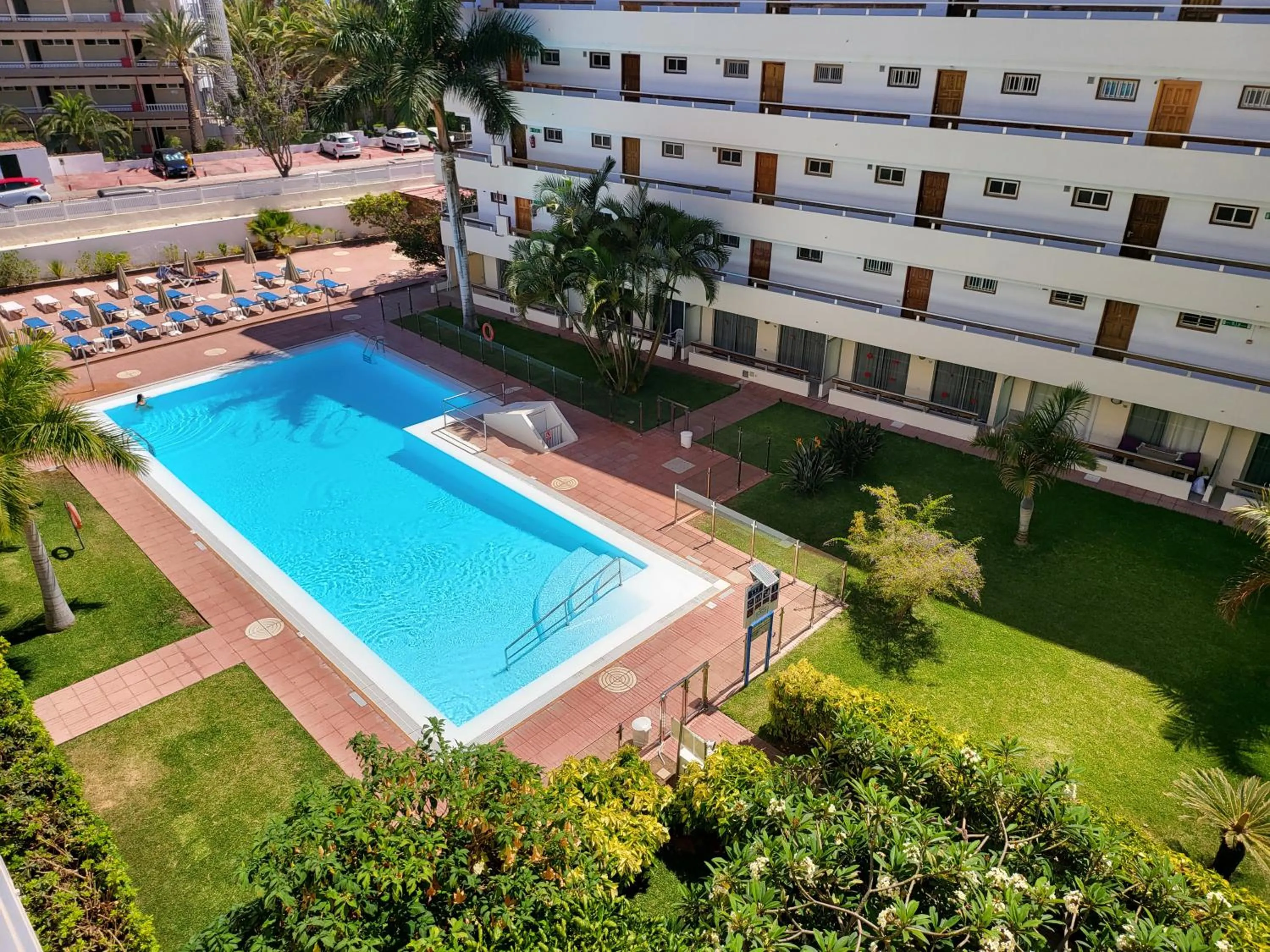 Pool view in Las Camelias Apartments
