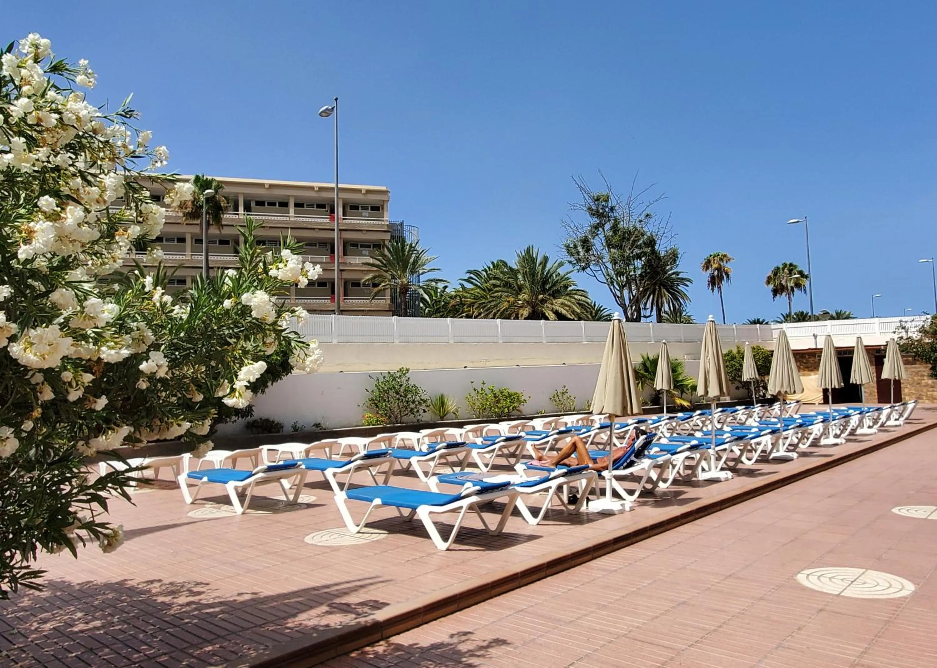 sunbed in Las Camelias Apartments