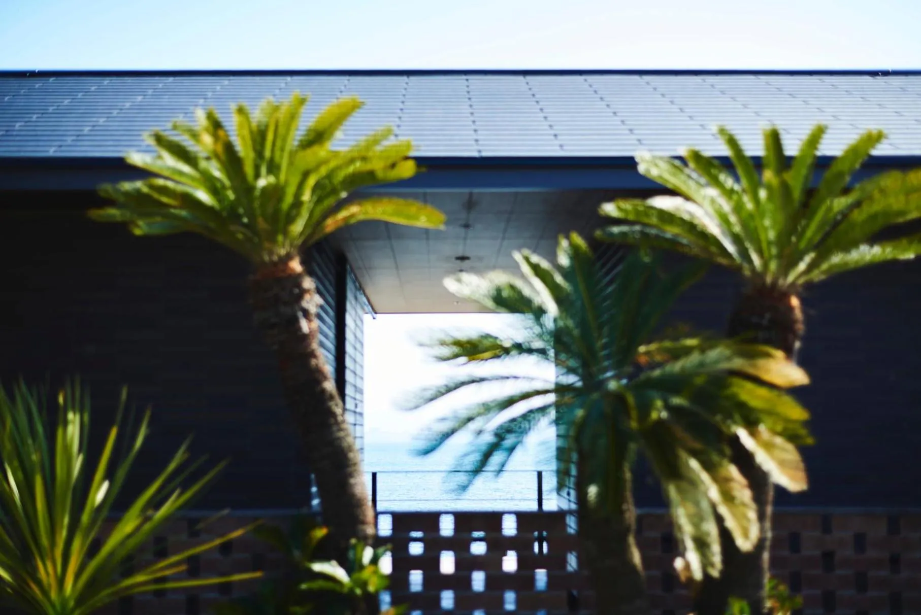 Balcony/Terrace in INN THE PARK Fukuoka