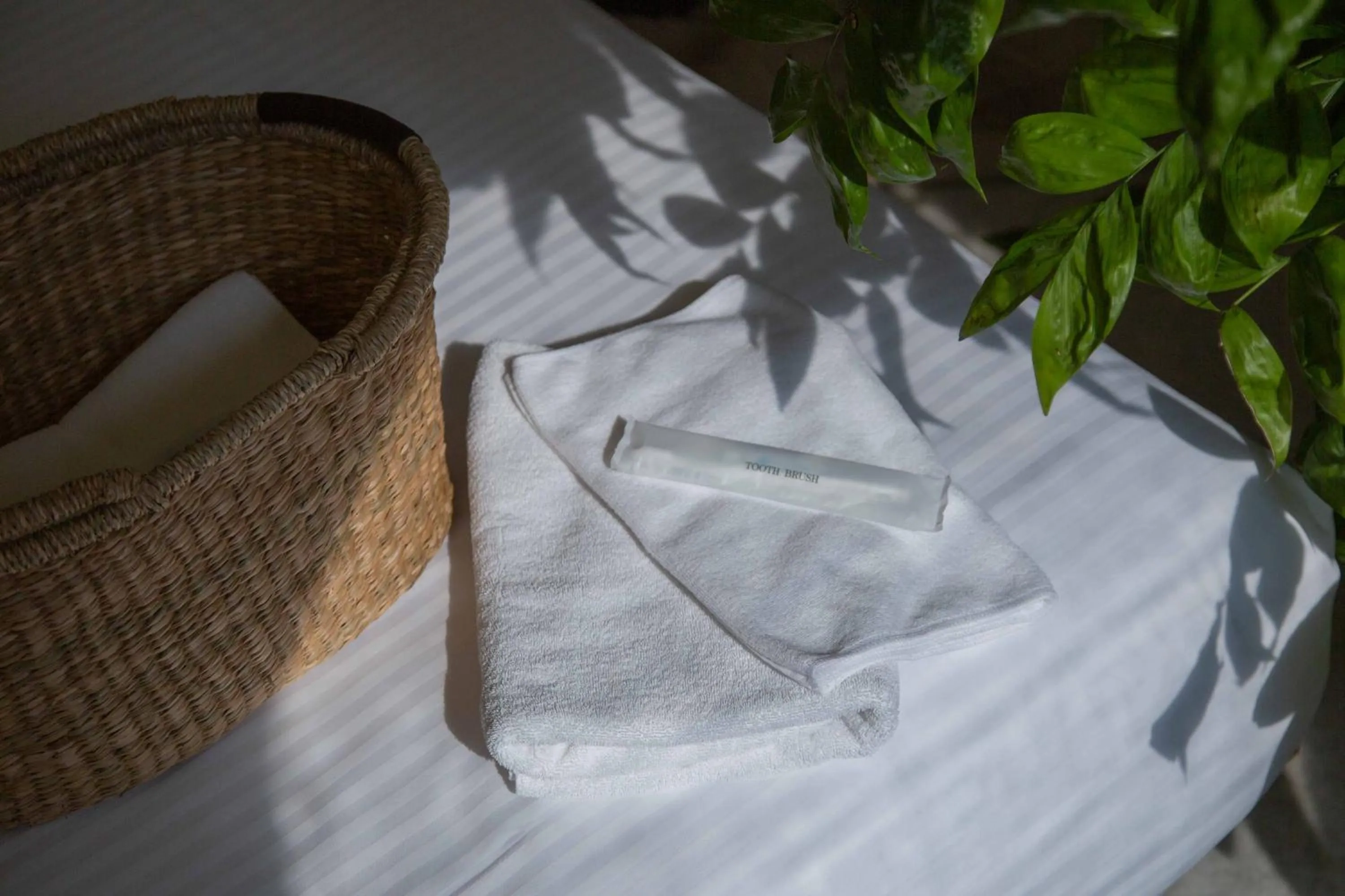 Photo of the whole room in INN THE PARK Fukuoka