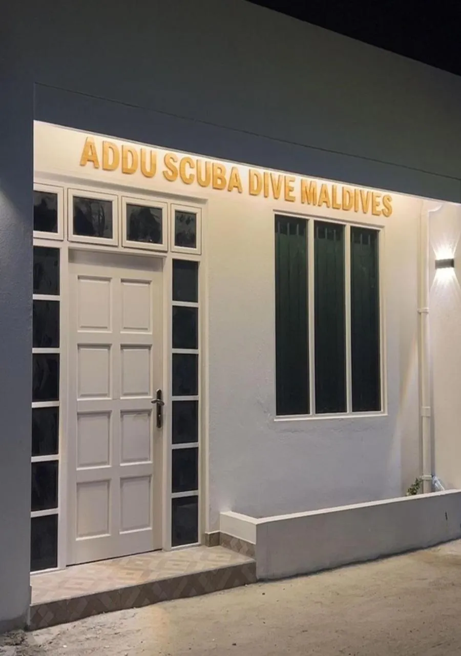 Diving in Asseyri Guest House