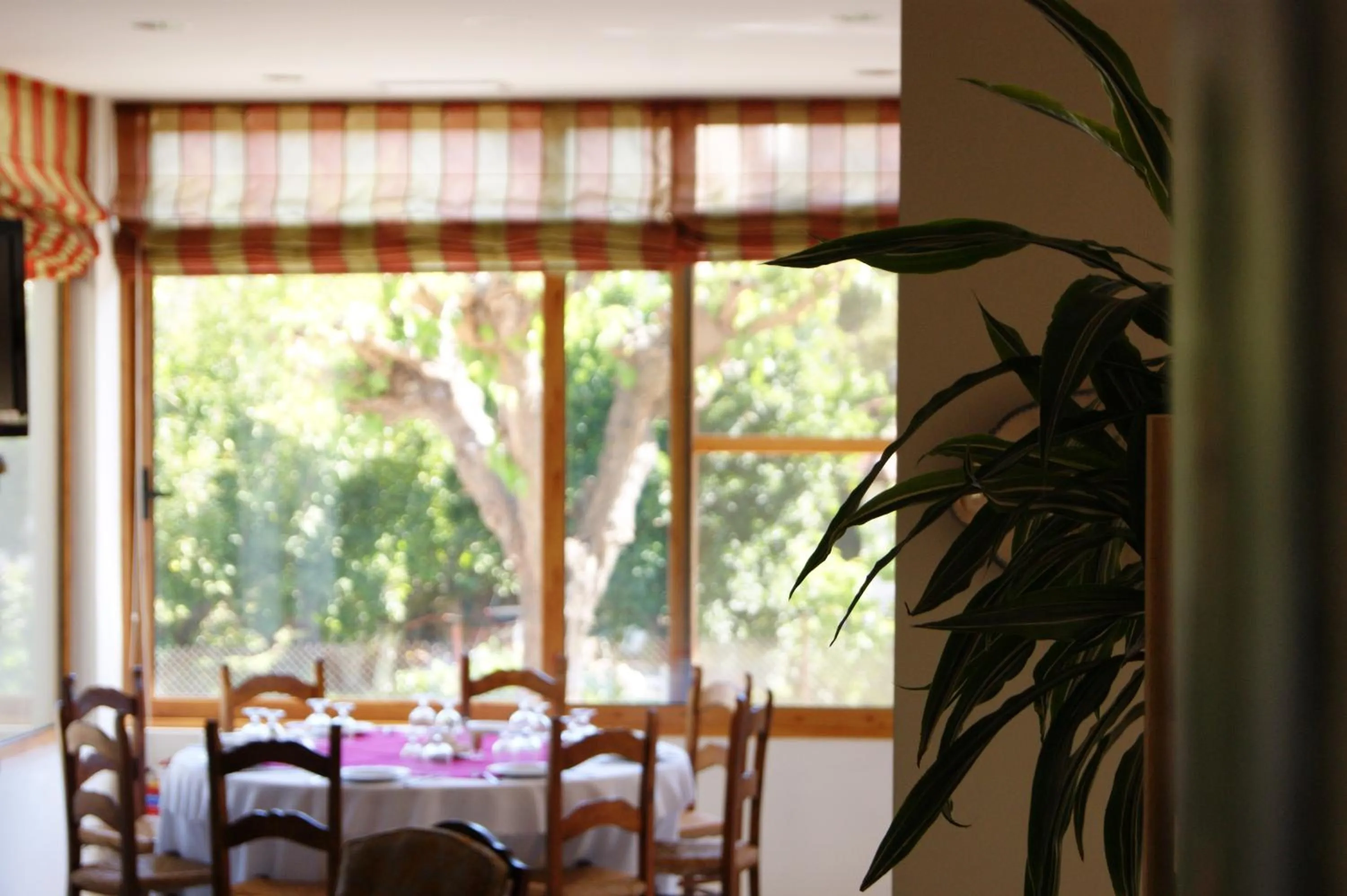 Dining area in Hotel Pelops