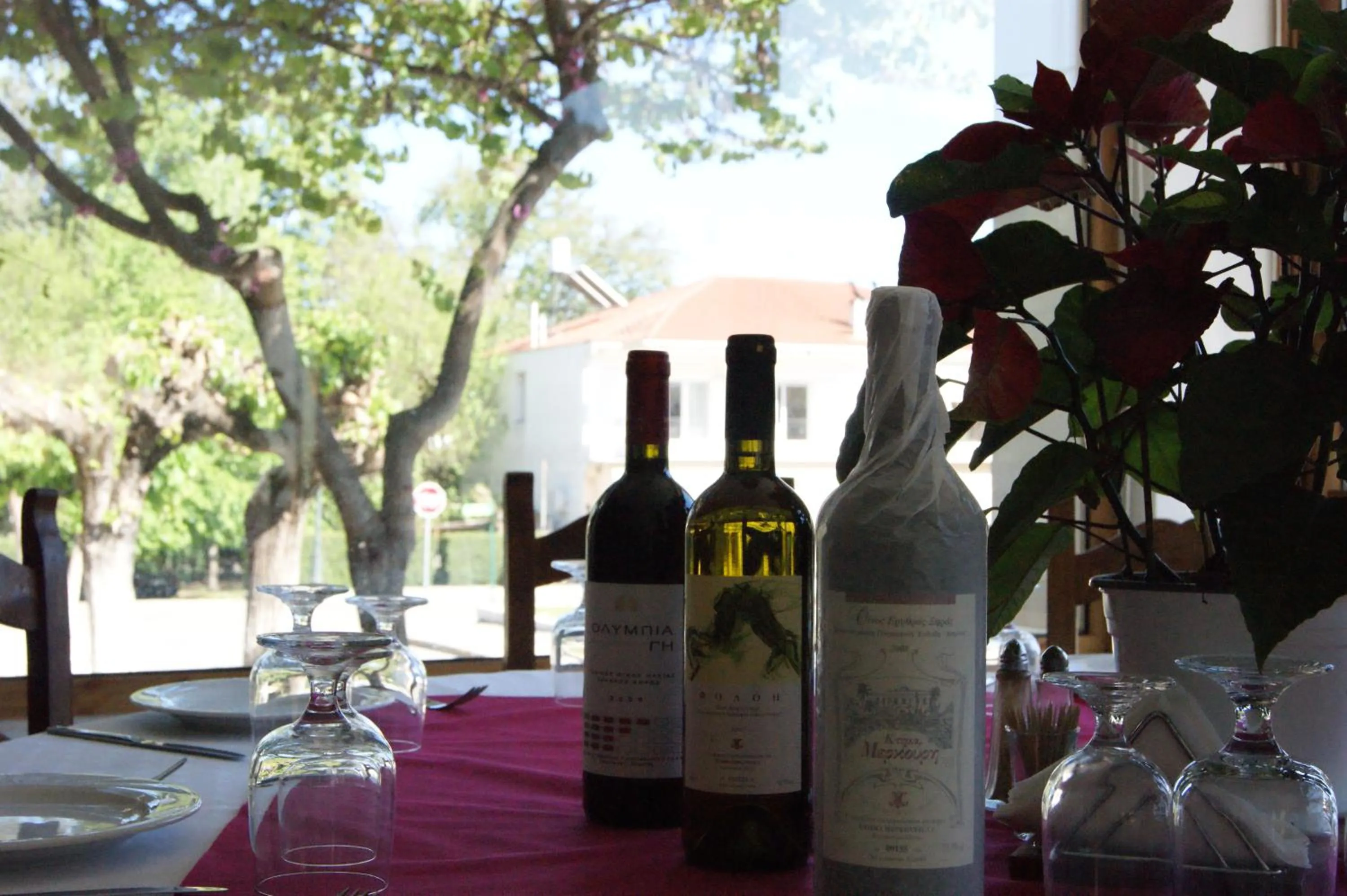 Food and drinks in Hotel Pelops