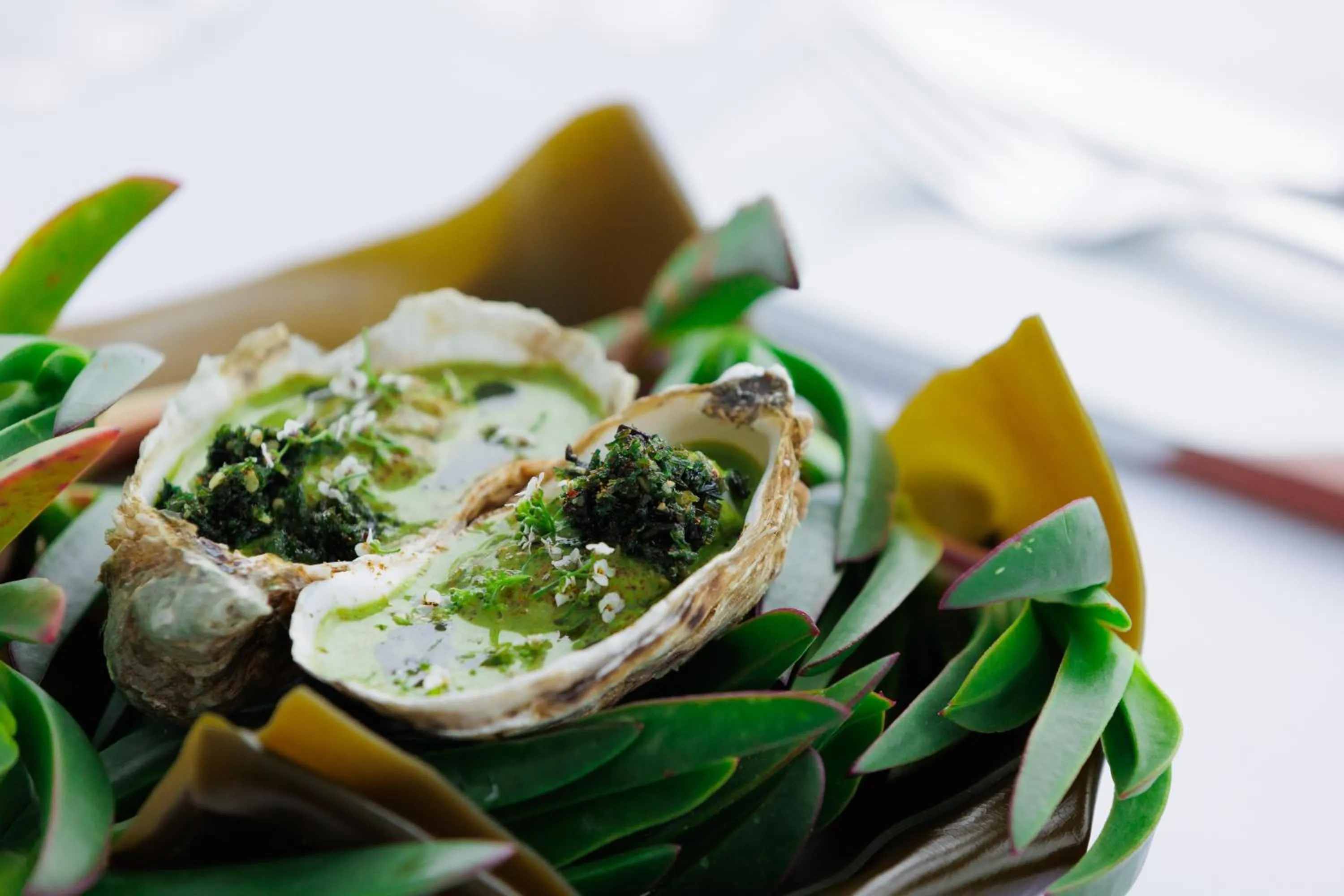 Restaurant/places to eat in Astarte Suites