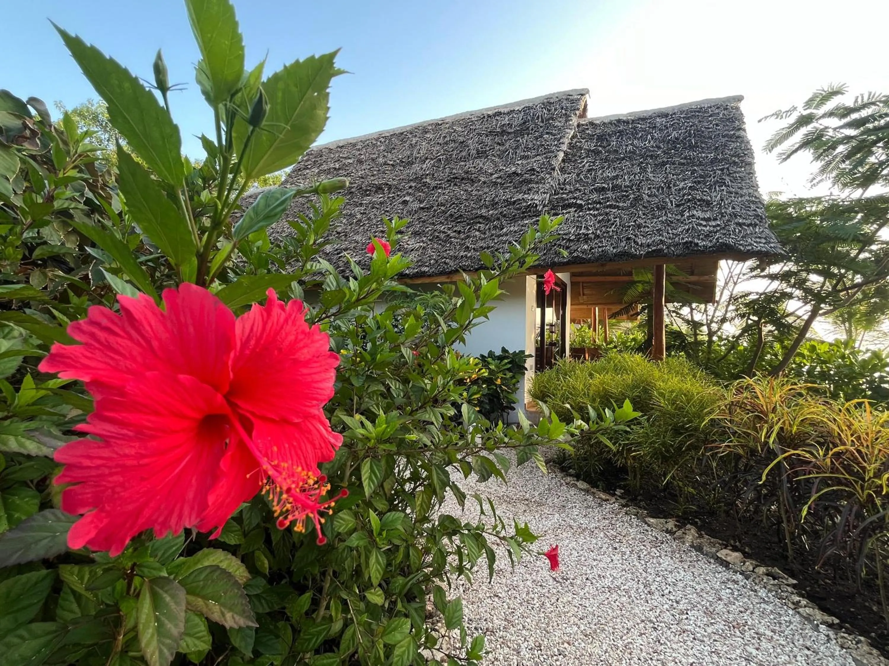 Property building in Kidoti Bay