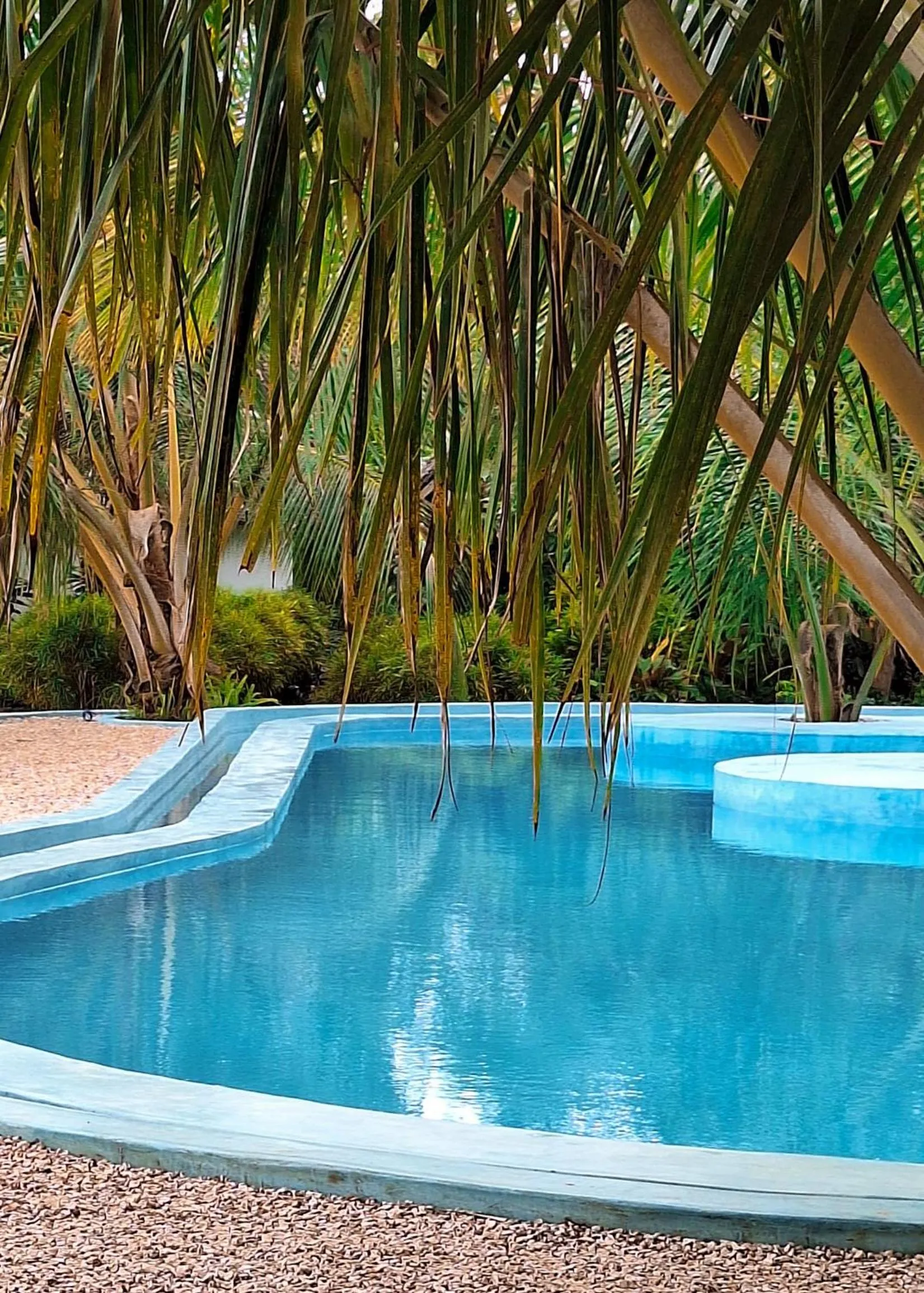 Swimming pool in Kidoti Bay