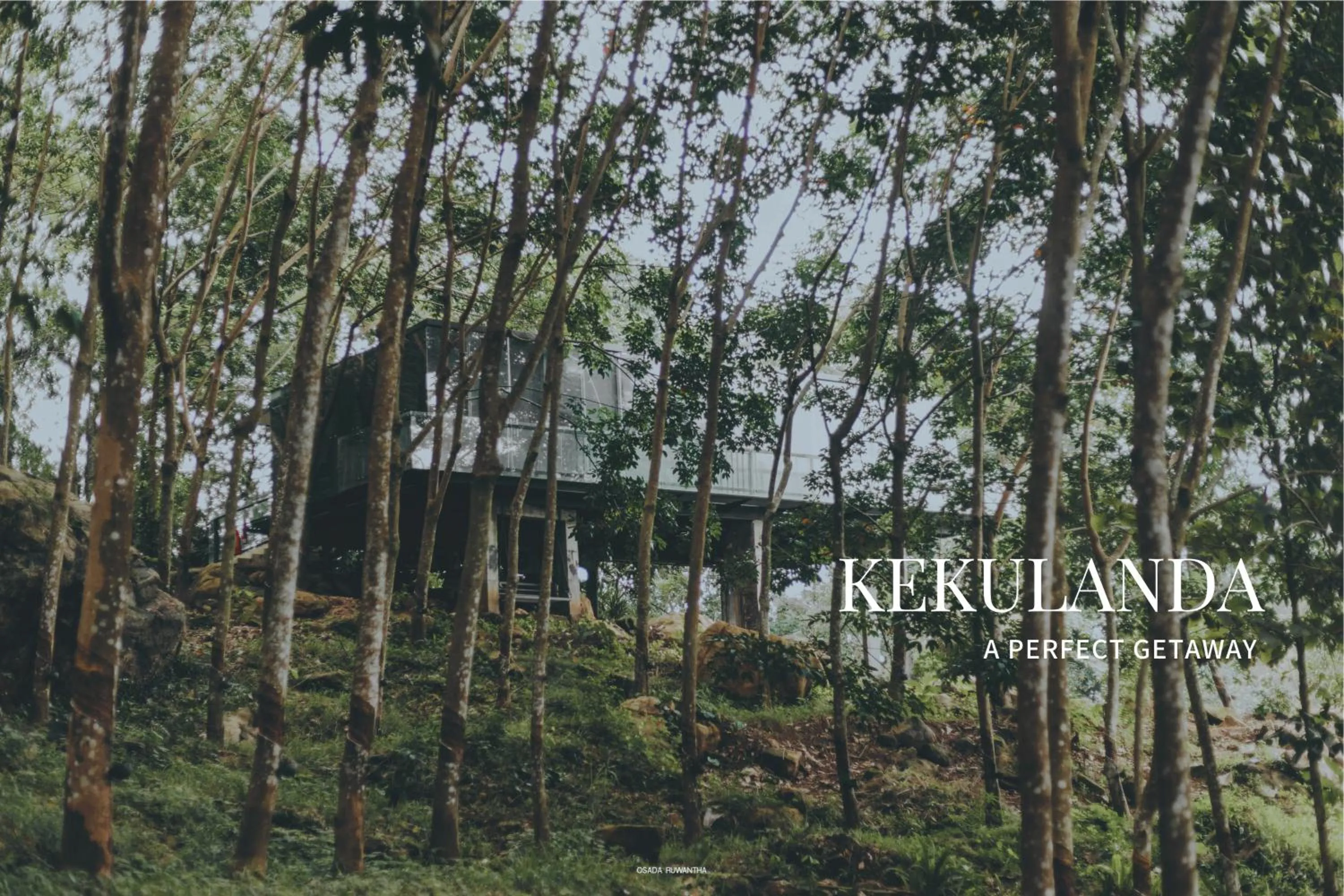 Garden in Kakulanda Resort