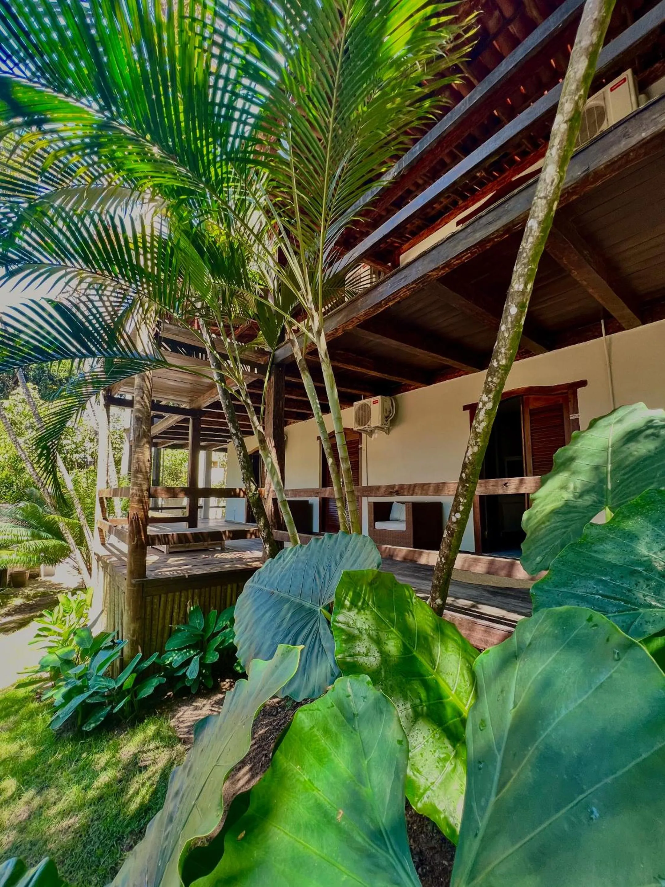 Garden in Casa La Luna