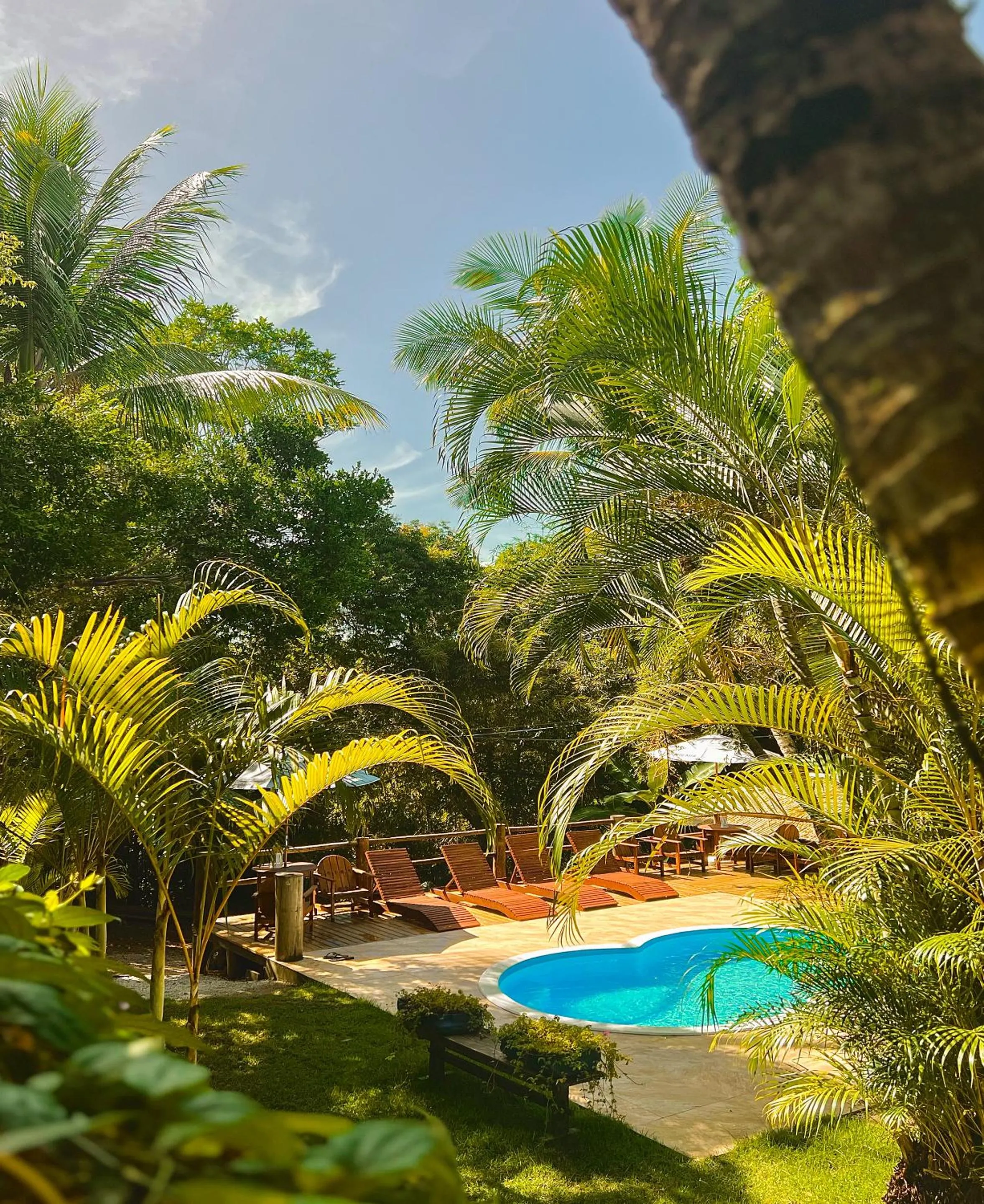 Swimming pool in Casa La Luna