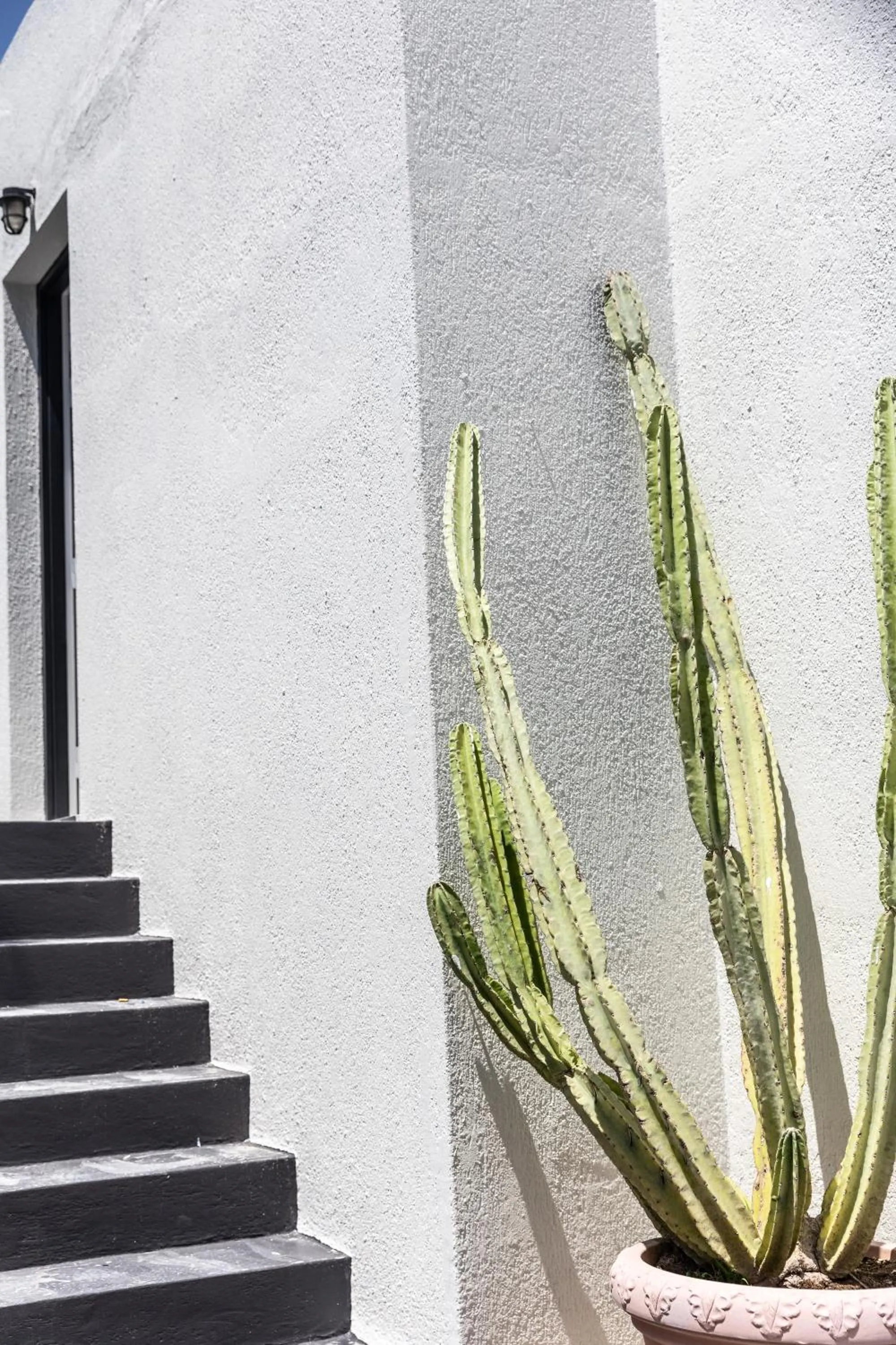 Day in Scorpios Beach Santorini