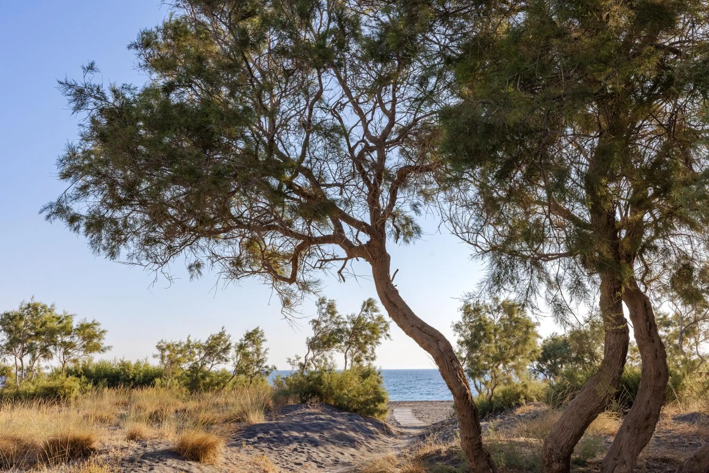 Natural landscape in Scorpios Beach Santorini