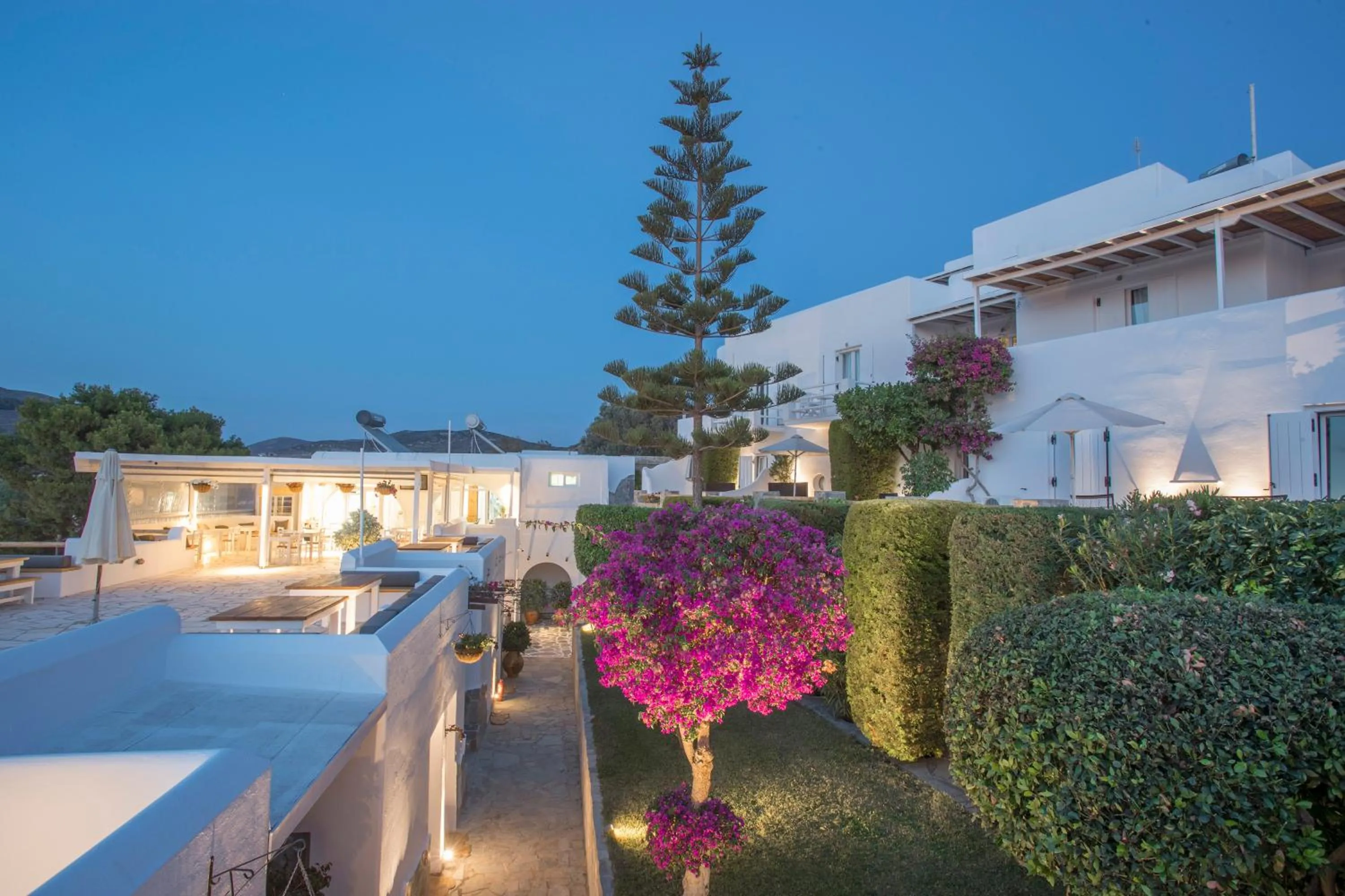 Garden in Paros Palace - Adults Only