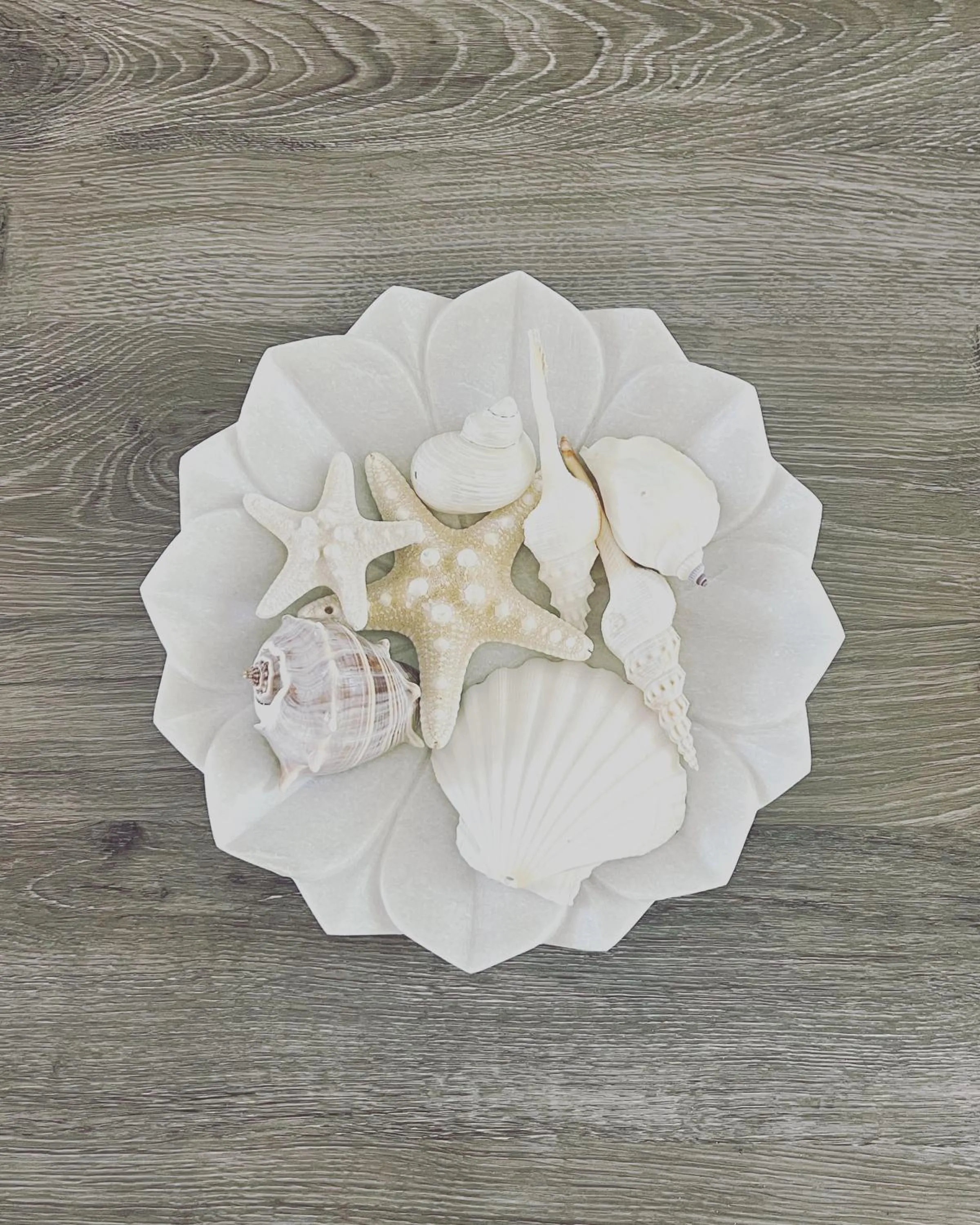 Nautilus Hamptons Style Luxury Beach Apartment Merimbula