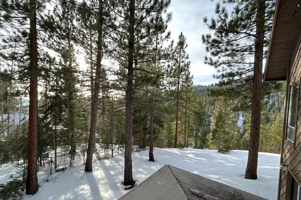 Tumbleweed Pines home