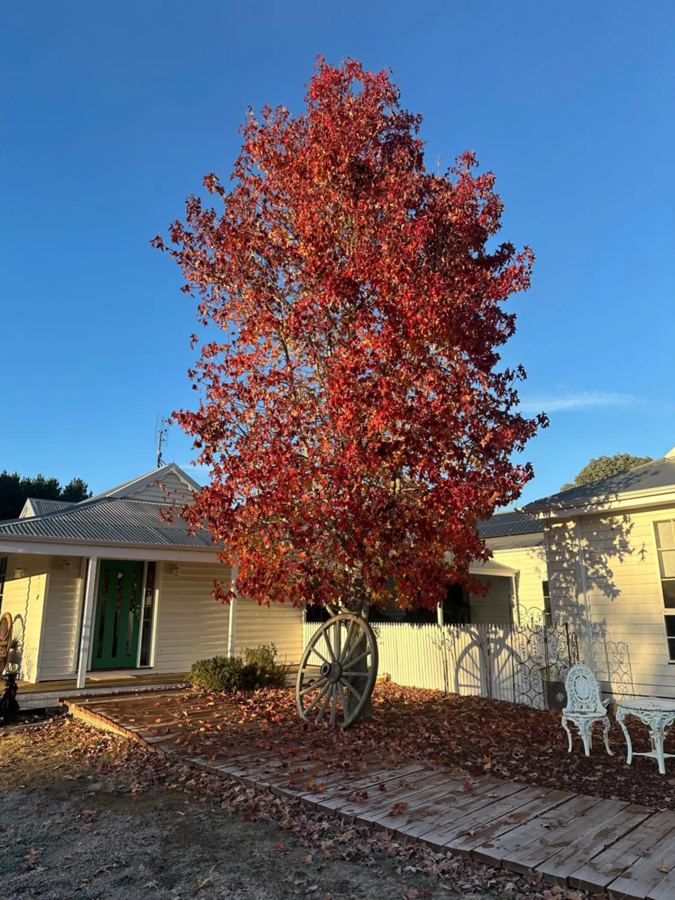 Tell Tales Bed & Breakfast