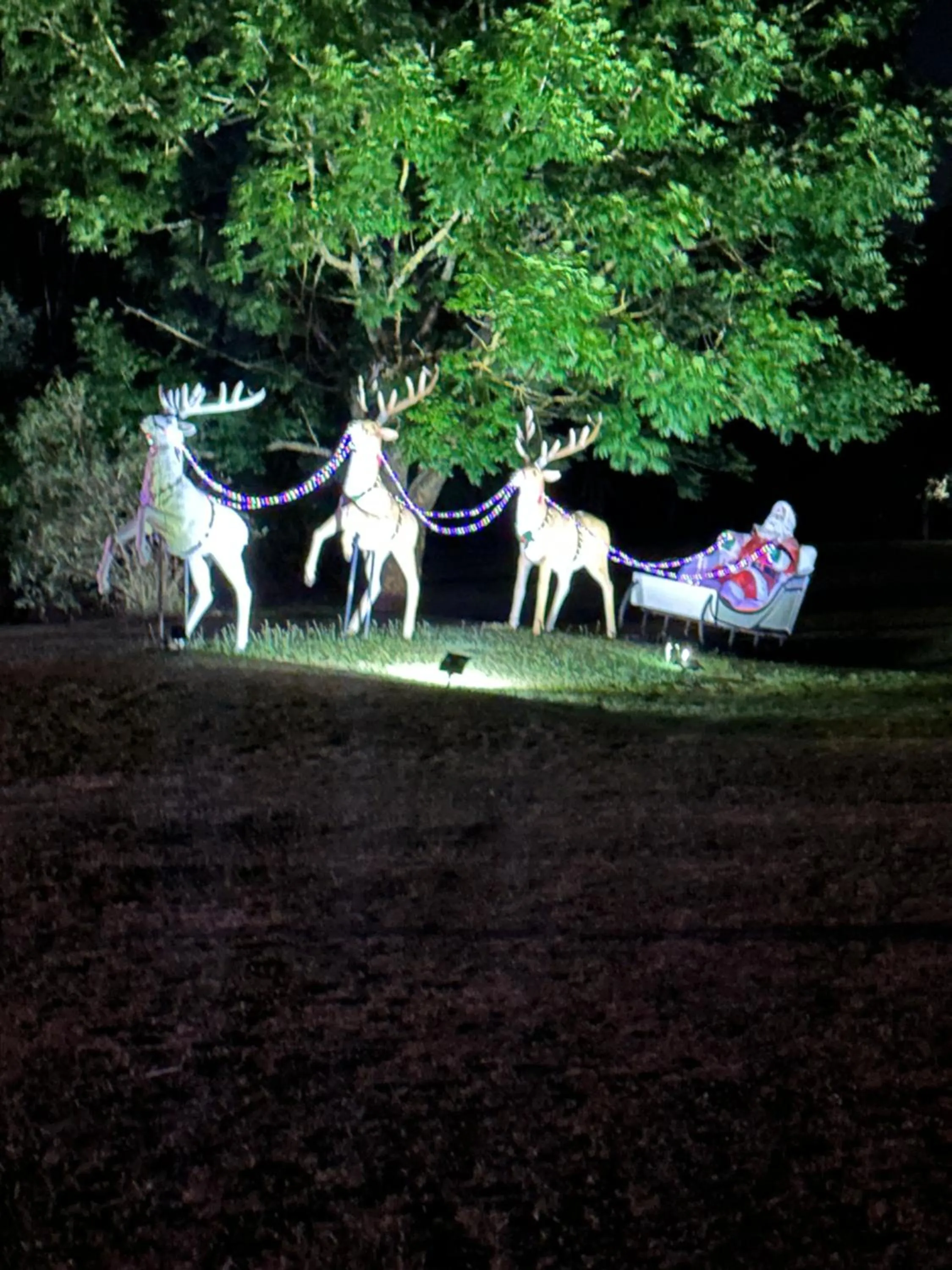 Tell Tales Bed & Breakfast