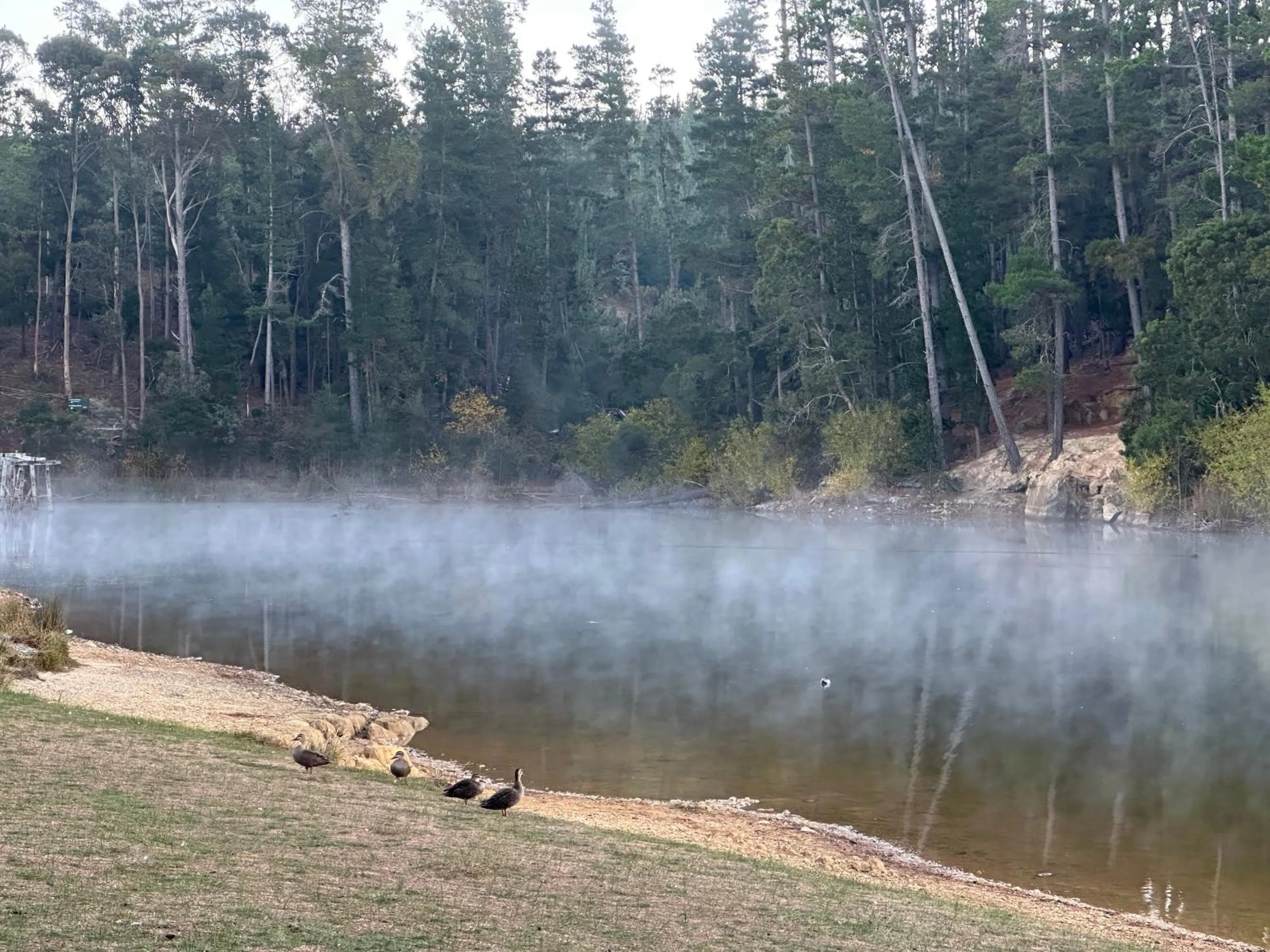 Tell Tales Bed & Breakfast