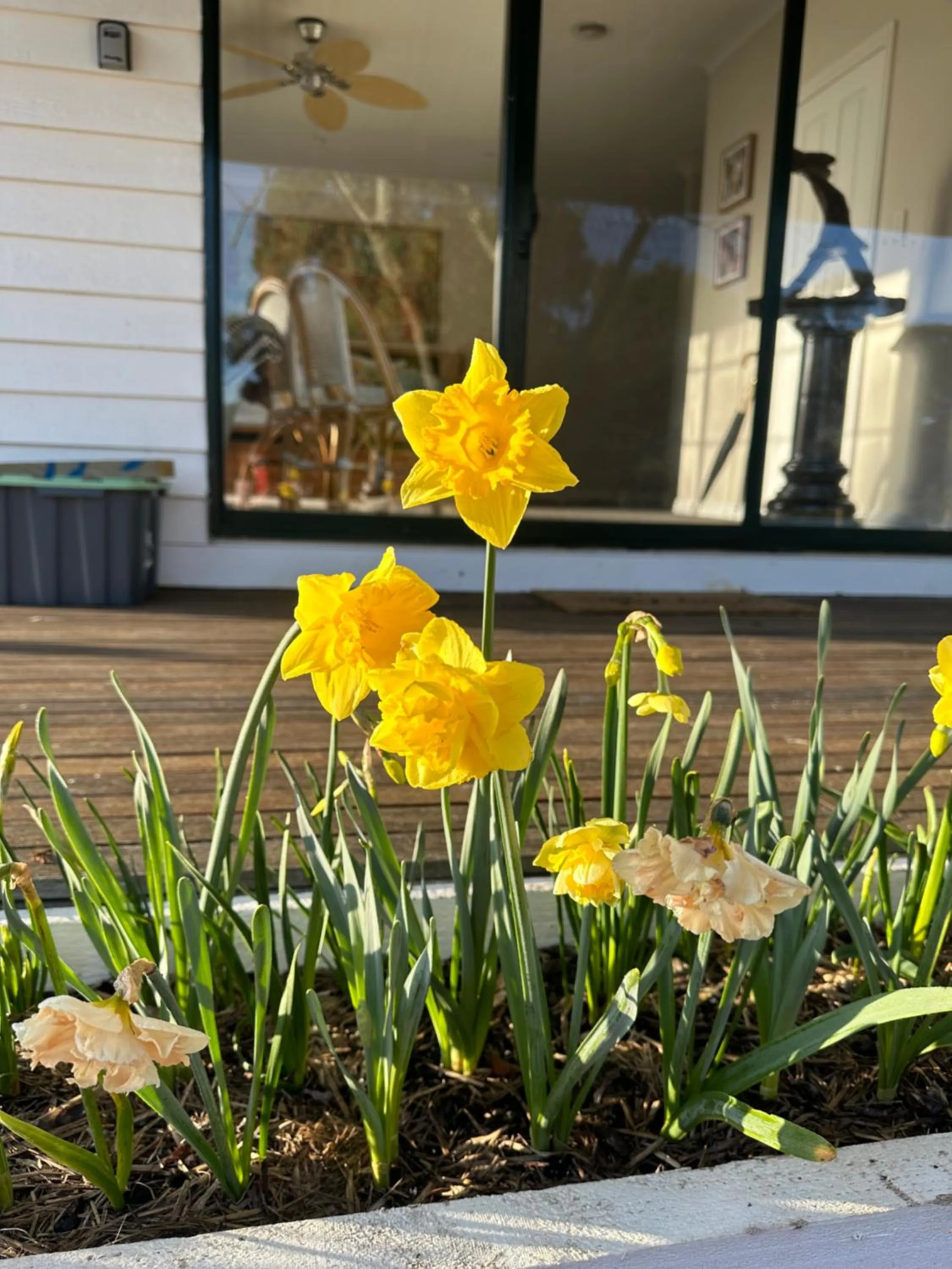 Tell Tales Bed & Breakfast