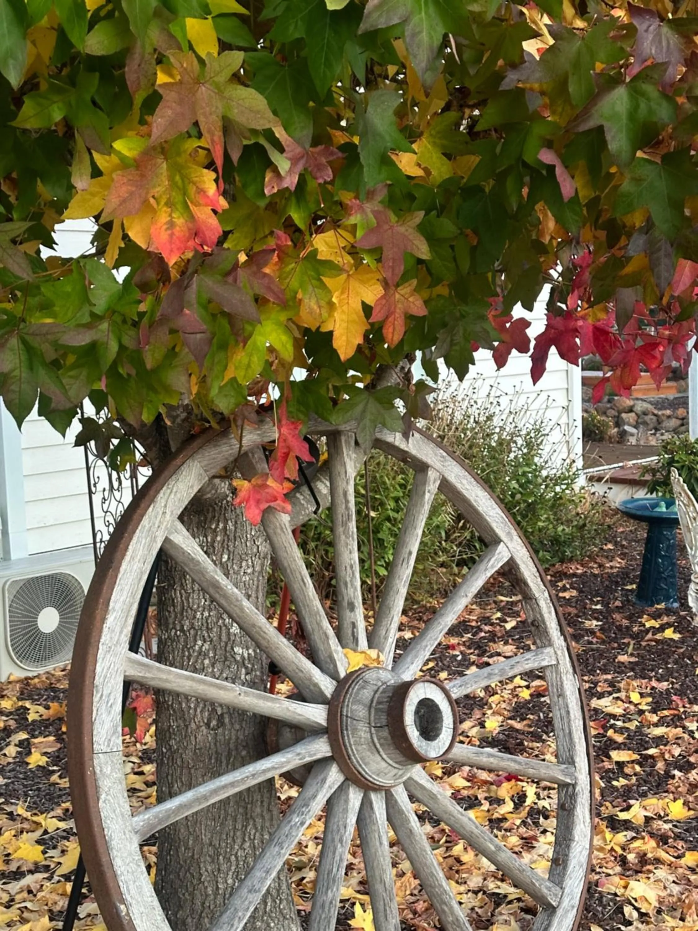 Tell Tales Bed & Breakfast