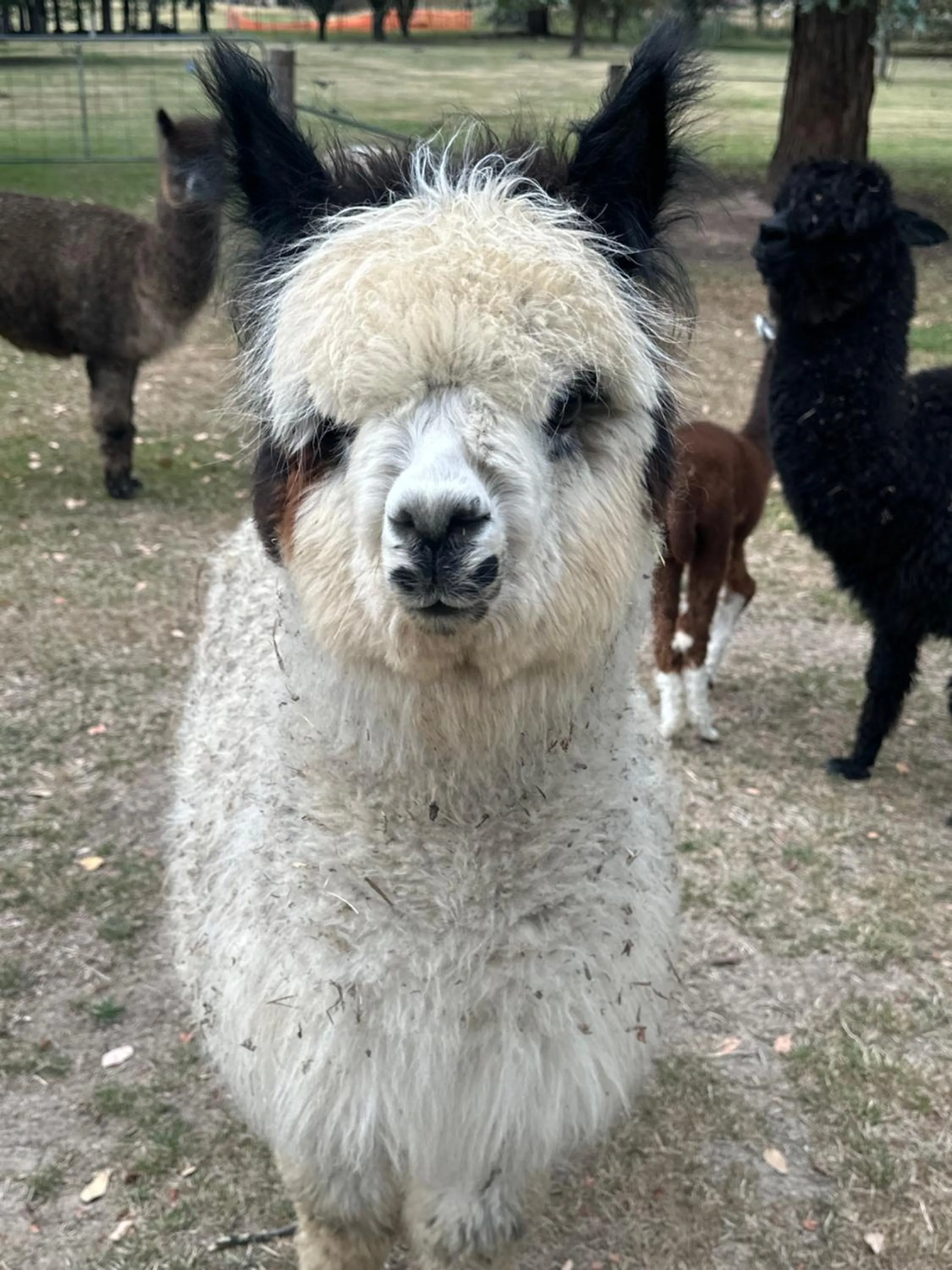 Tell Tales Bed & Breakfast