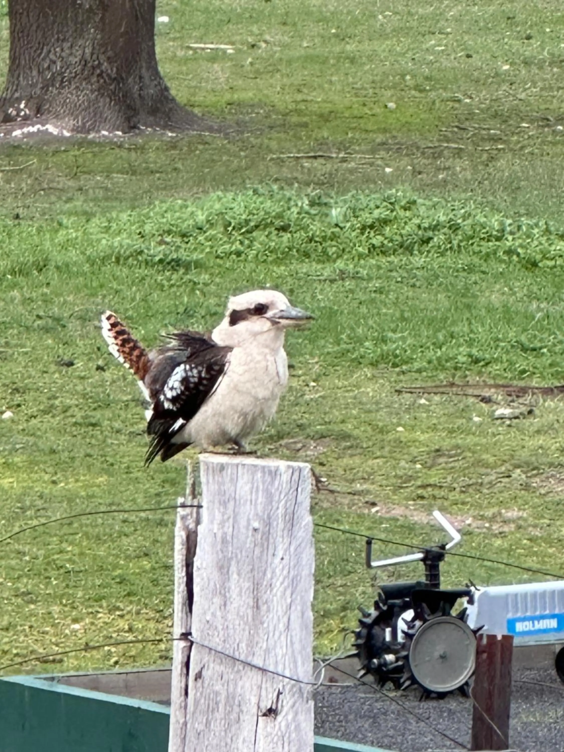 Tell Tales Bed & Breakfast