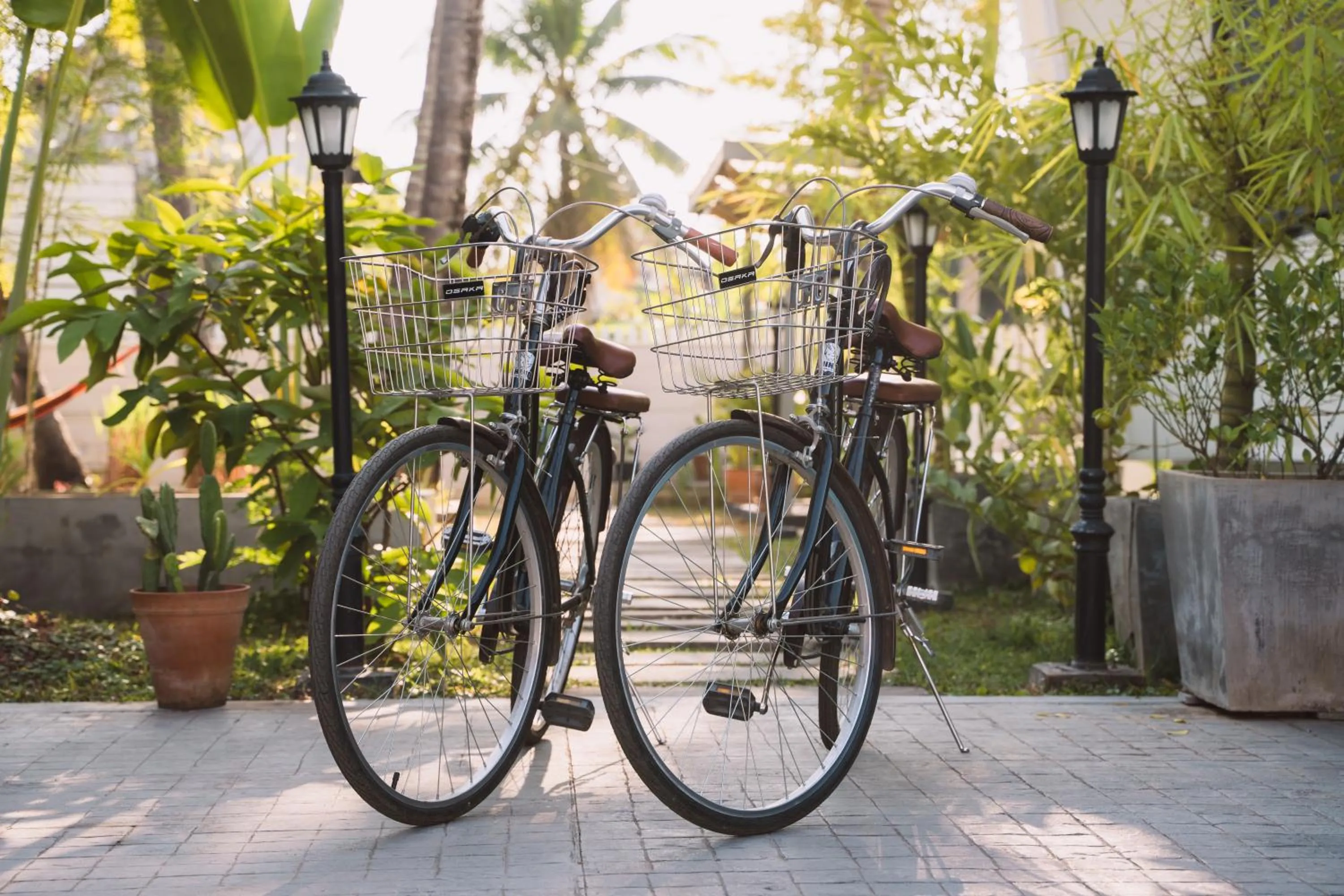 Cycling in Baan Pila