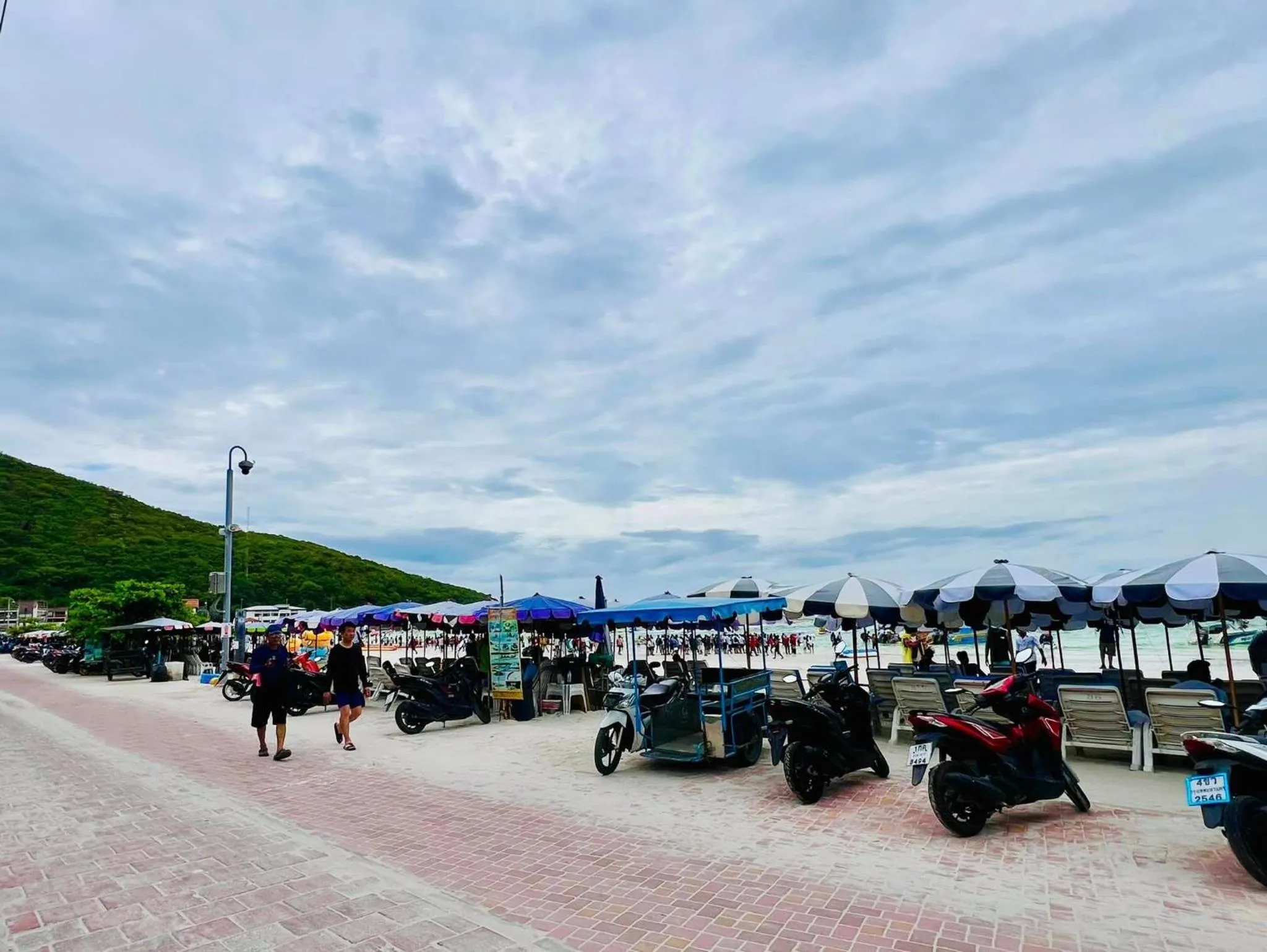 Natural landscape in IP PLUS BEACH RESORT Koh Larn