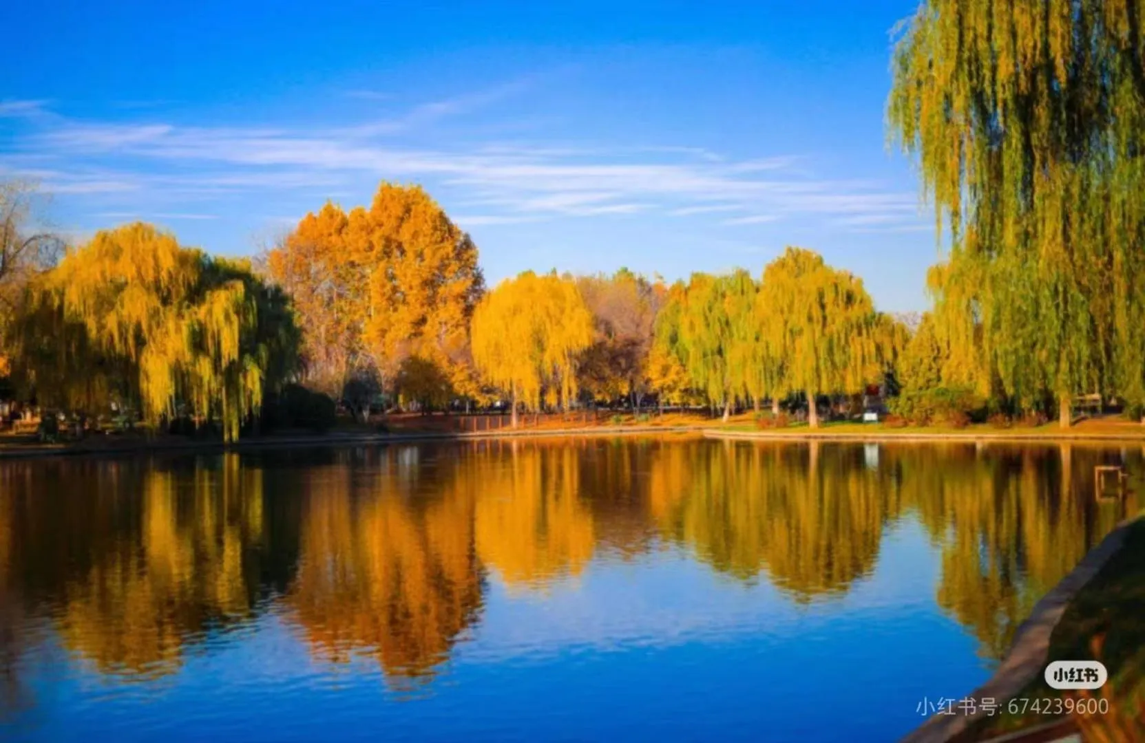 Garden in HeBei Cuipingshan Guest House