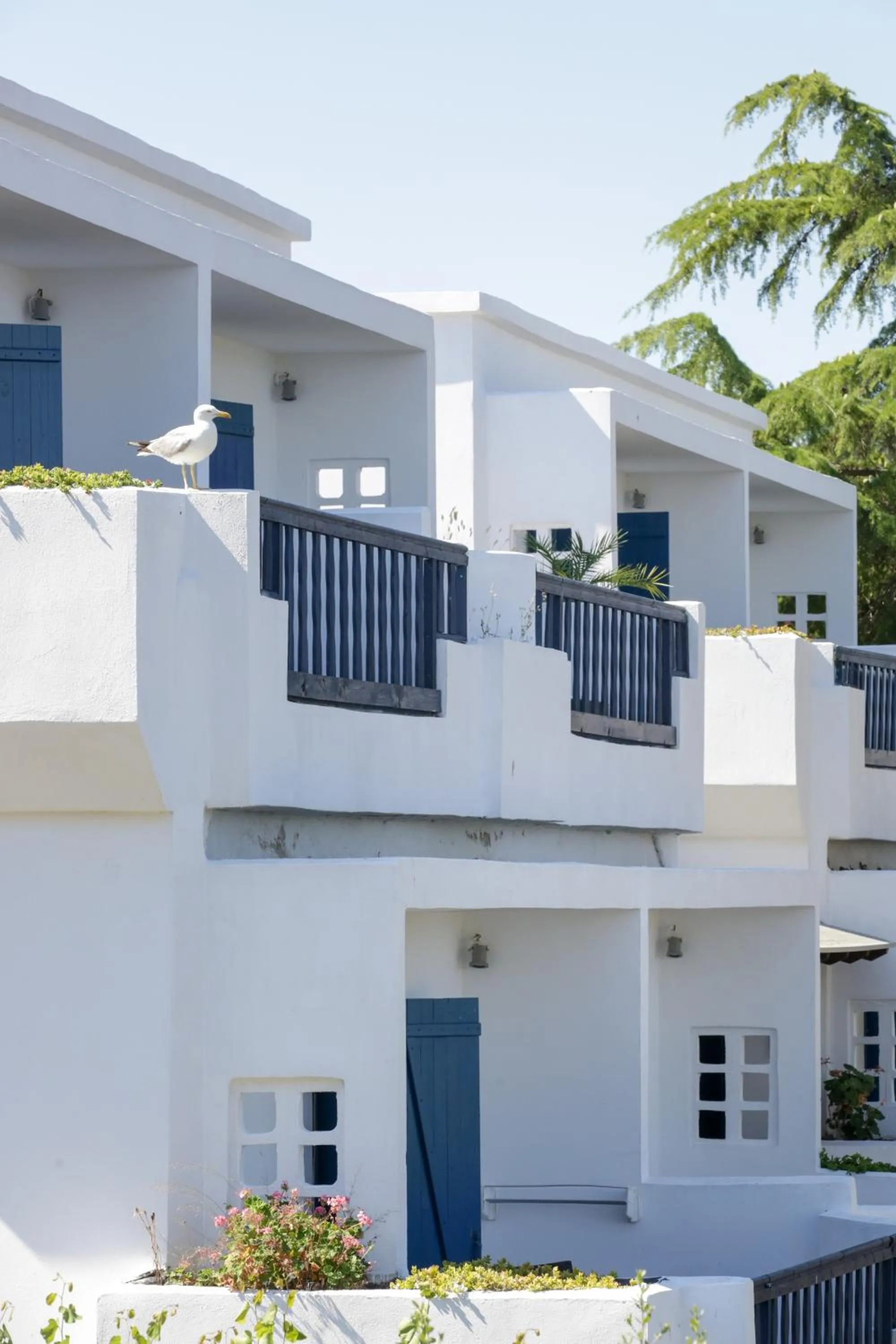 Property building in Agionissi Resort