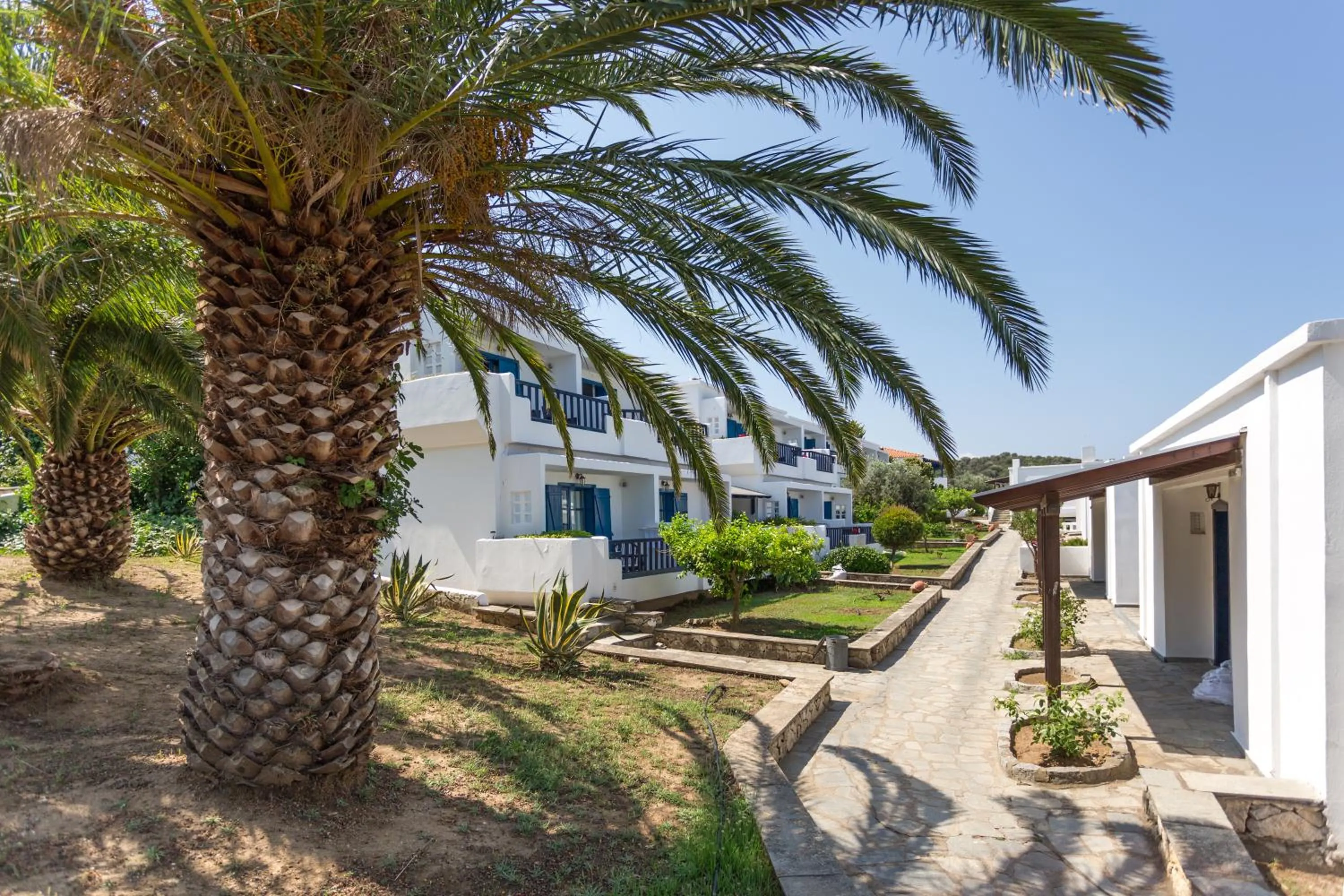 Area and facilities in Agionissi Resort