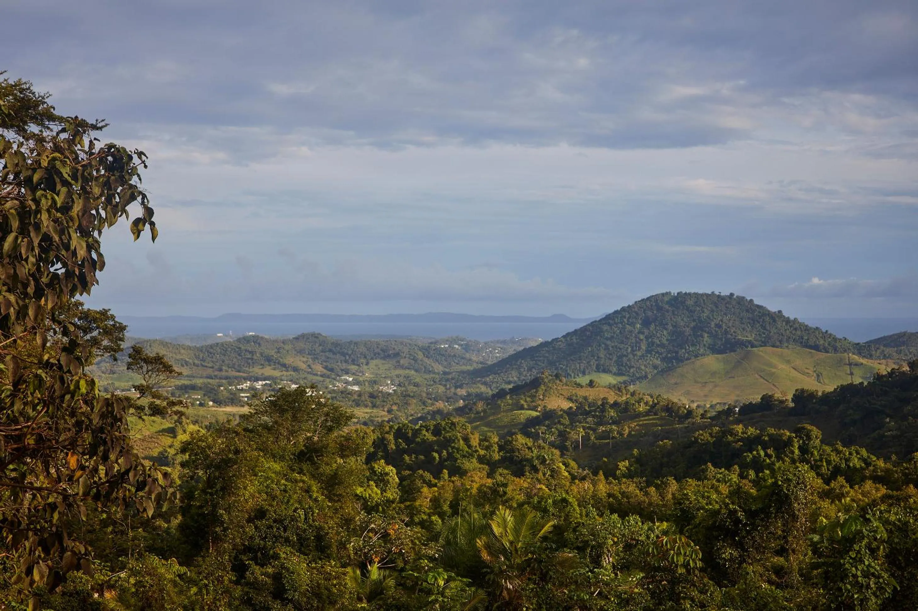 Natural landscape in WALD HAUS by DW