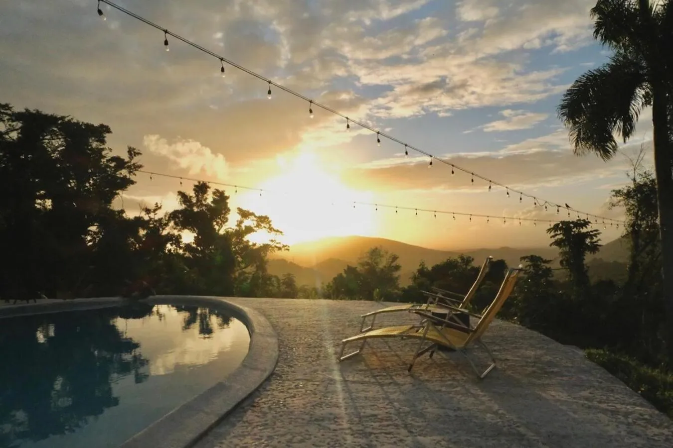 Pool view in WALD HAUS by DW