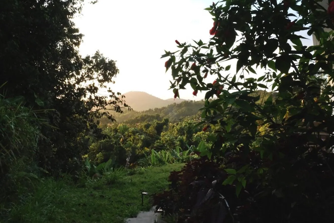 Natural landscape in WALD HAUS by DW