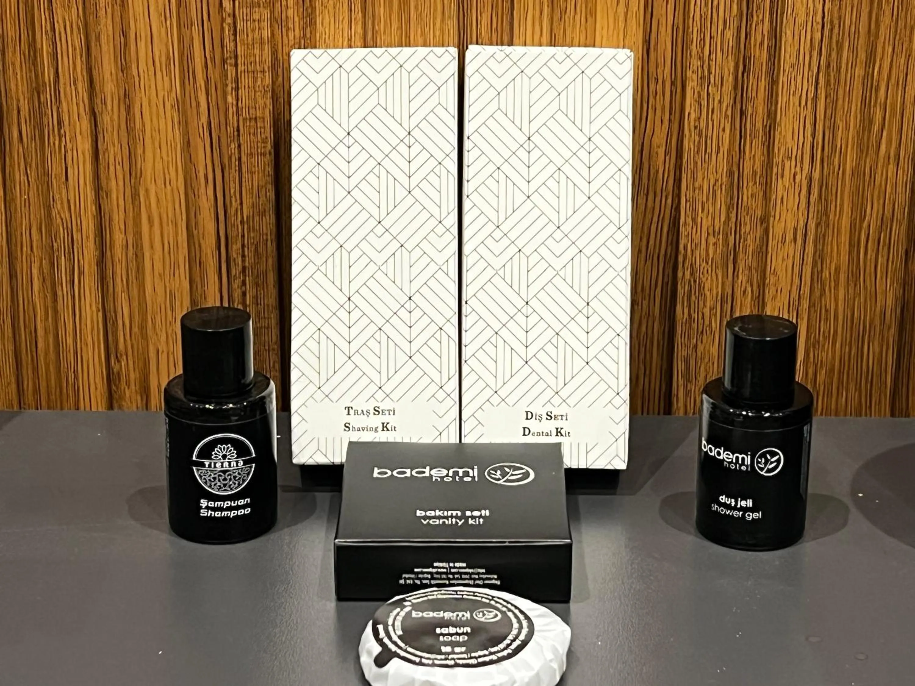 Area and facilities in Bademi Room