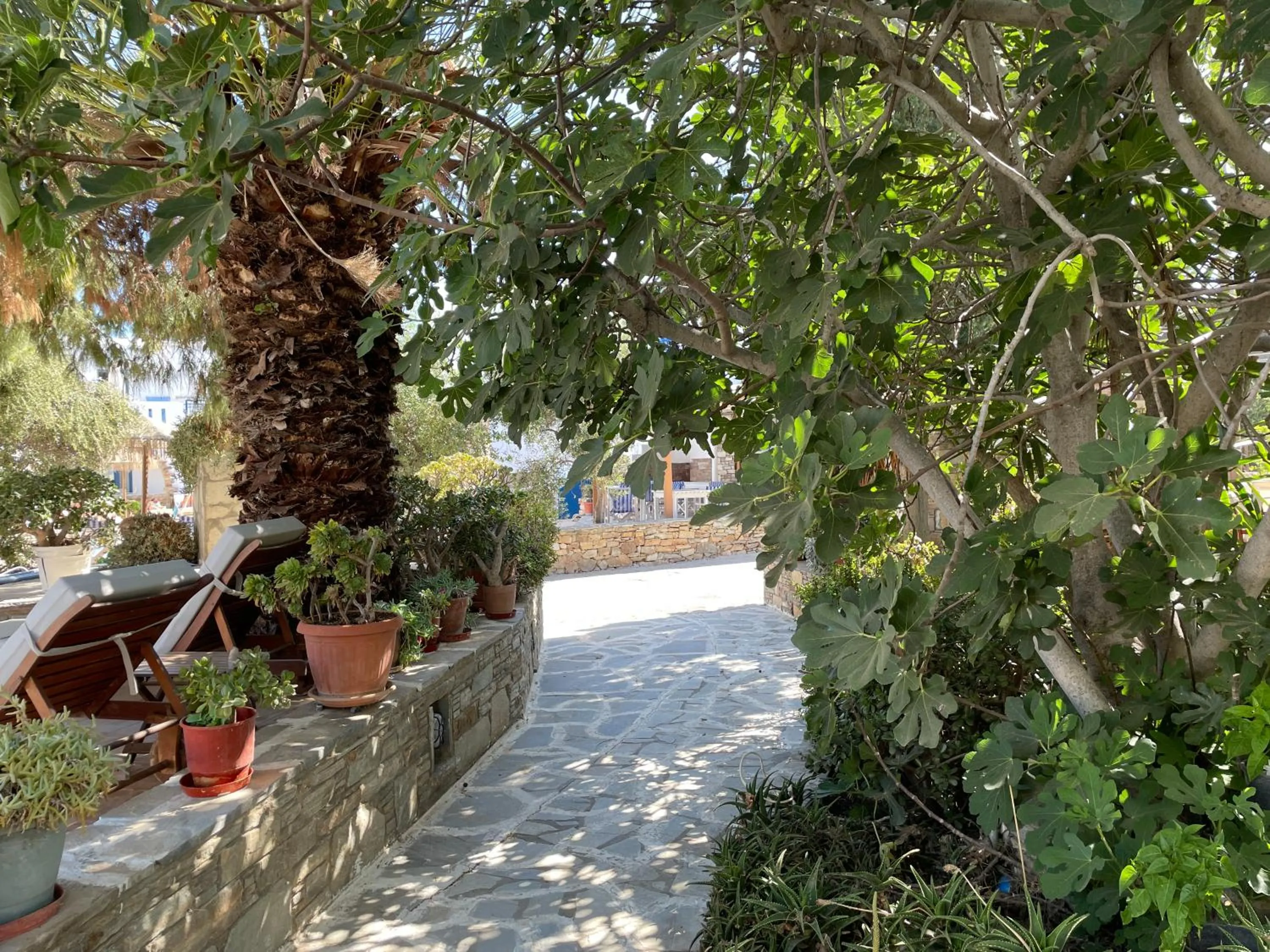 Garden in Ioanna Apartments