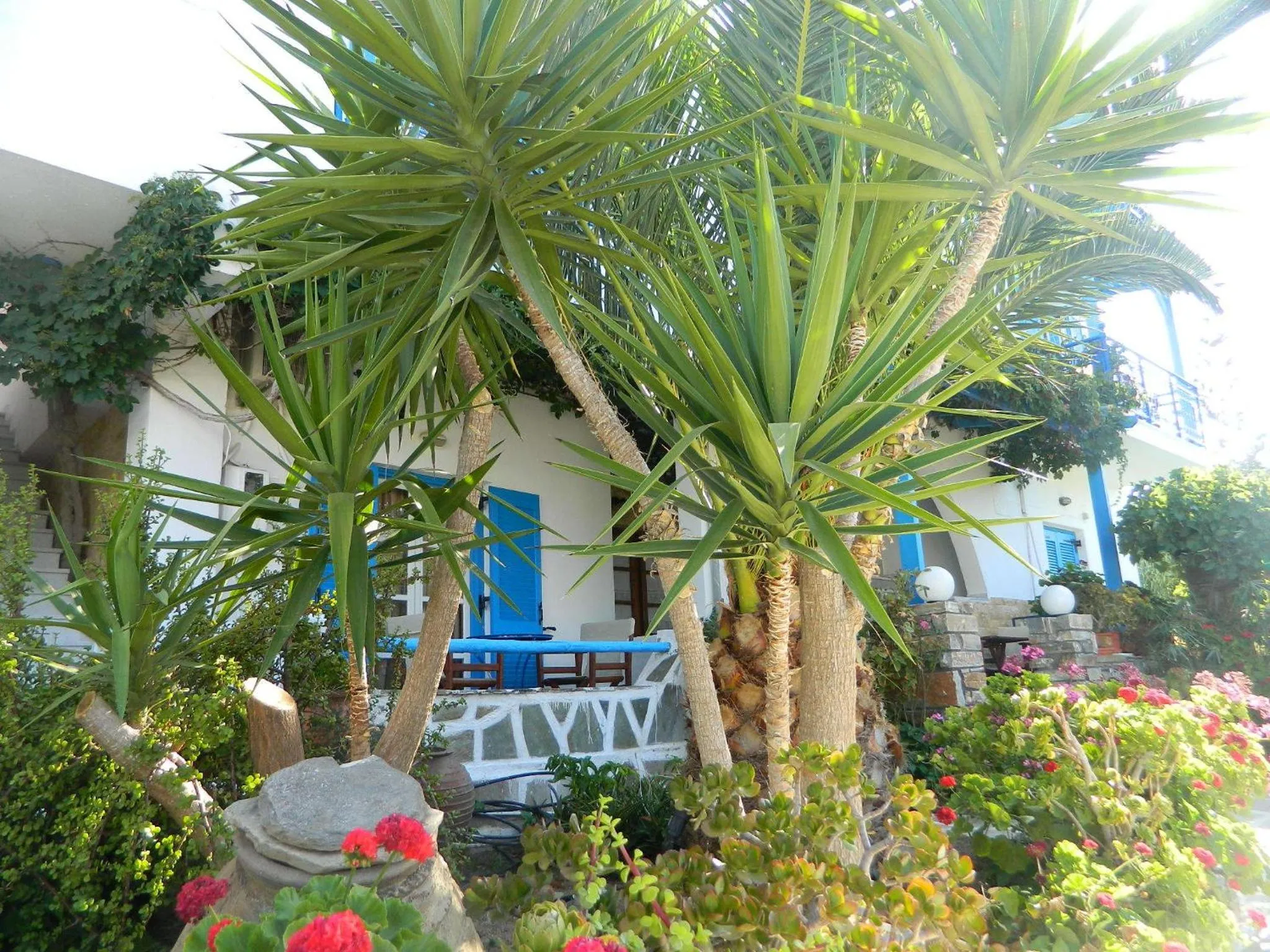 Garden in Ioanna Apartments